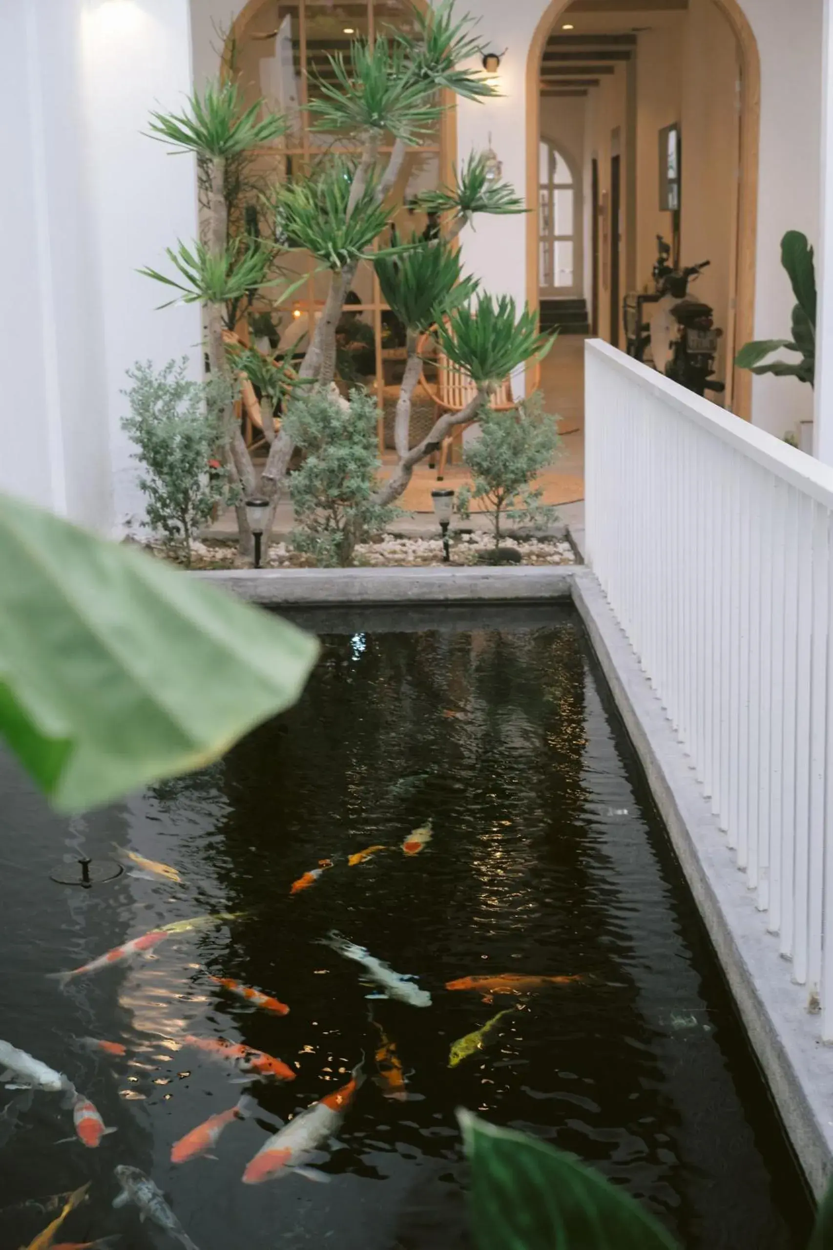Property building in LaDa's House Da Nang Property building in LaDa's House Da Nang