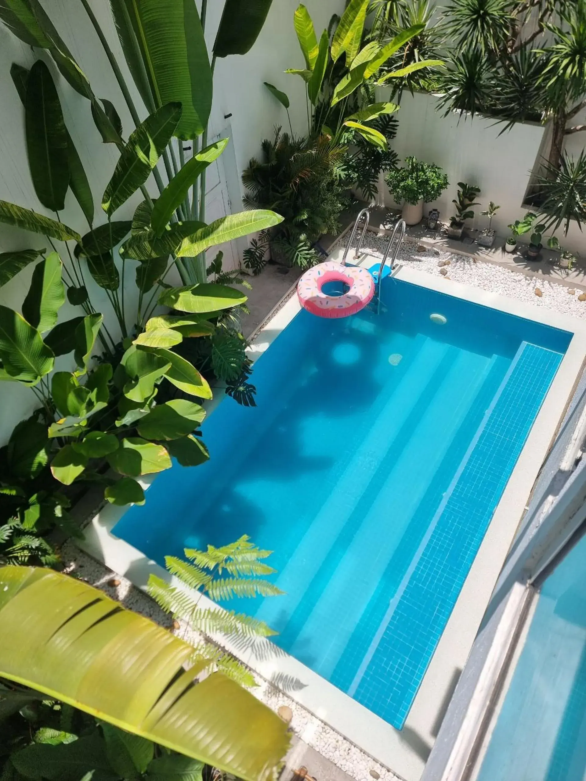 Pool view in LaDa's House Da Nang Pool view in LaDa's House Da Nang