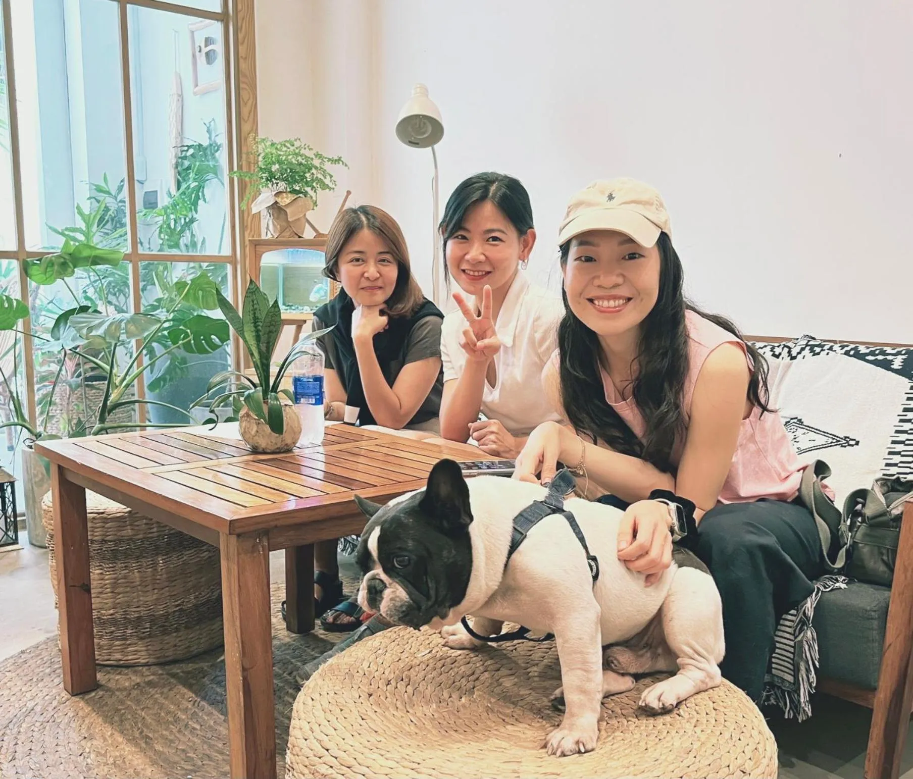 Pets in LaDa's House Da Nang