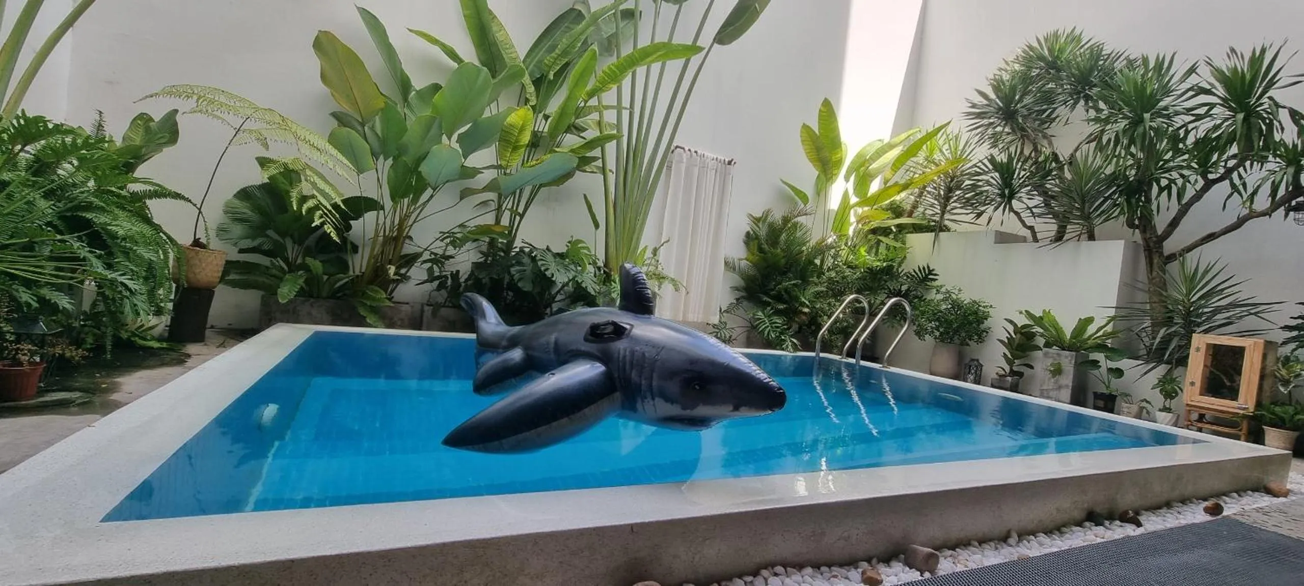 Garden in LaDa's House Da Nang