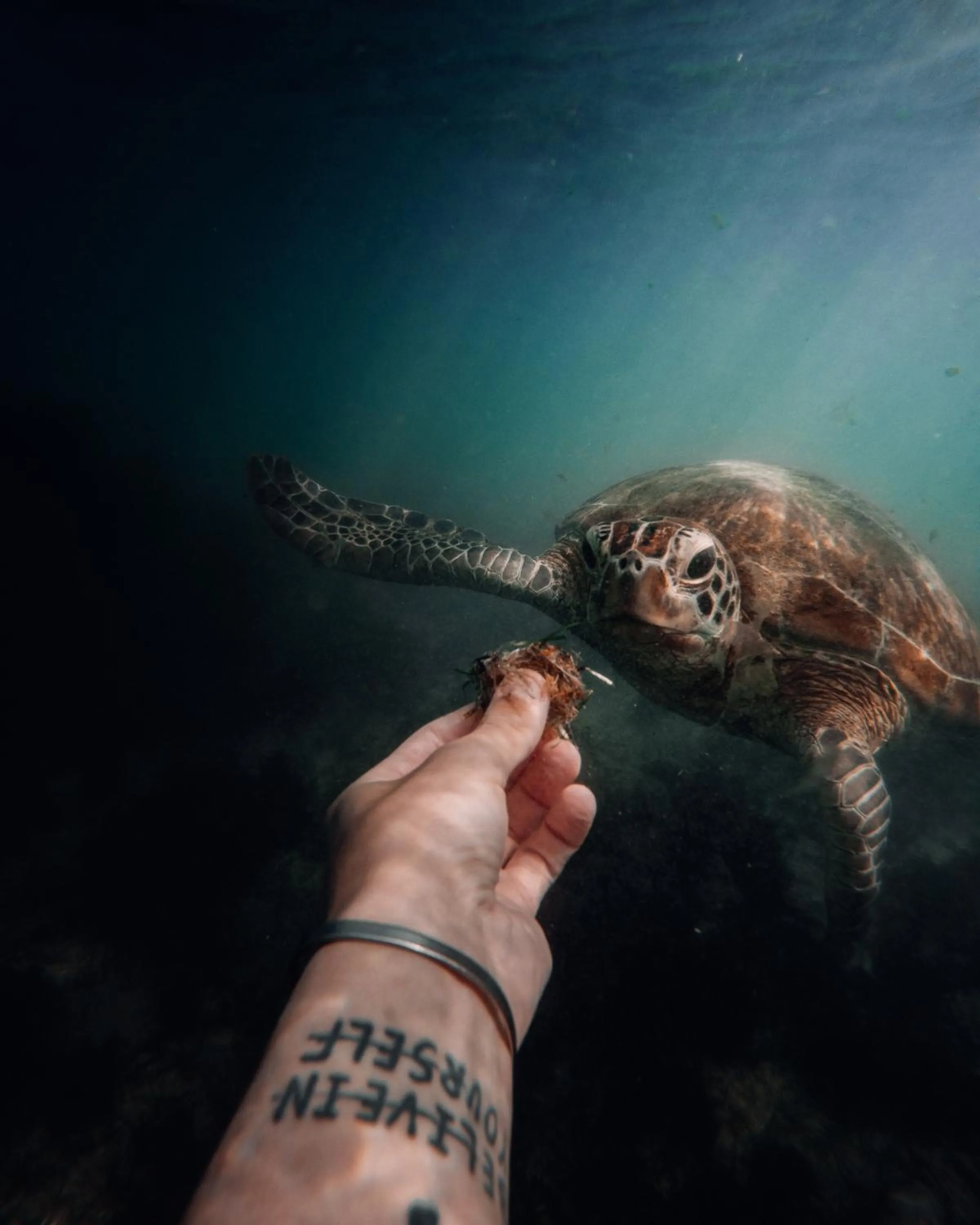 Activities in Parangi Weligama Bay - Thema Collection