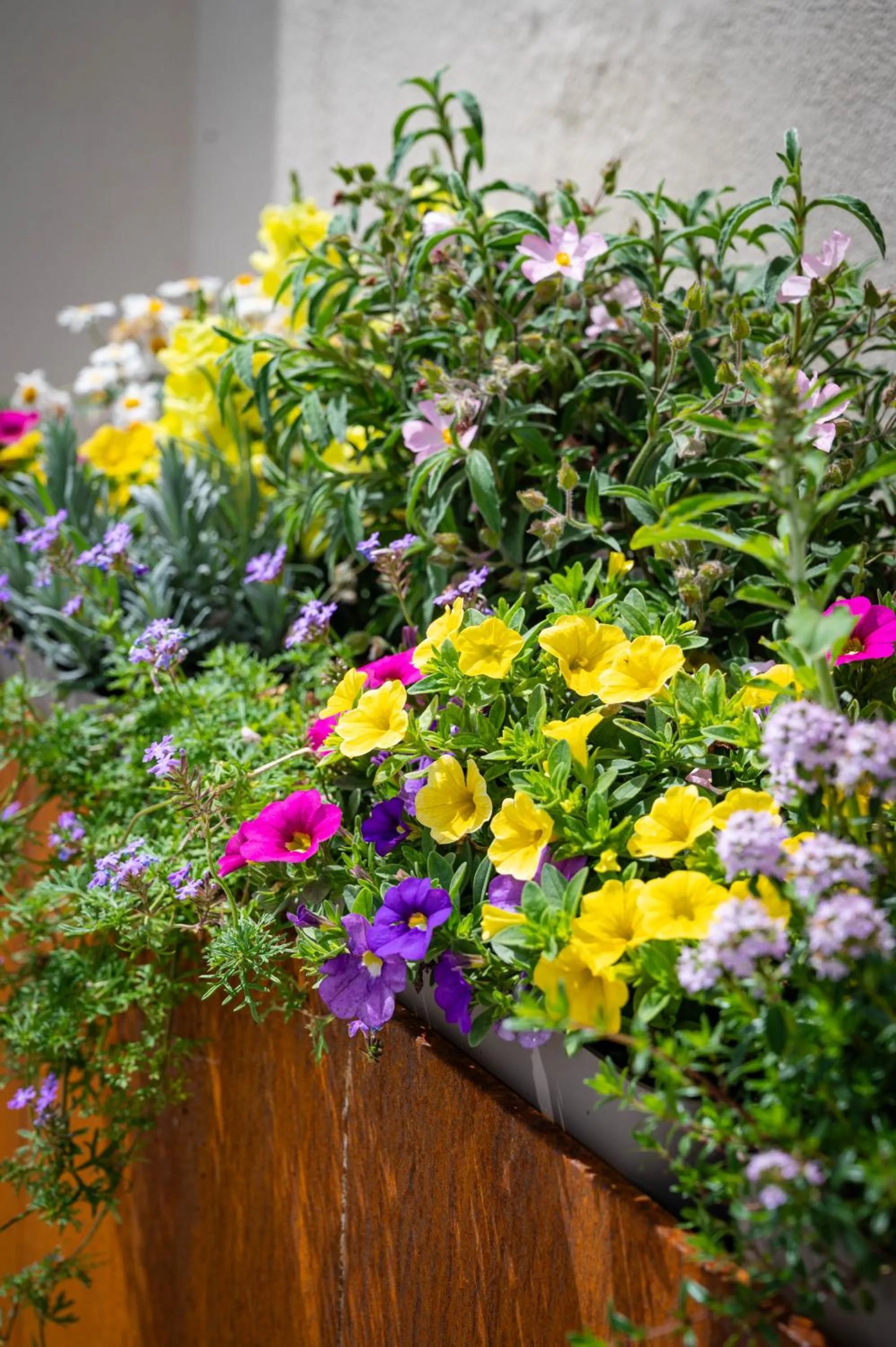 Property building in La Botte e il Vino Rooms