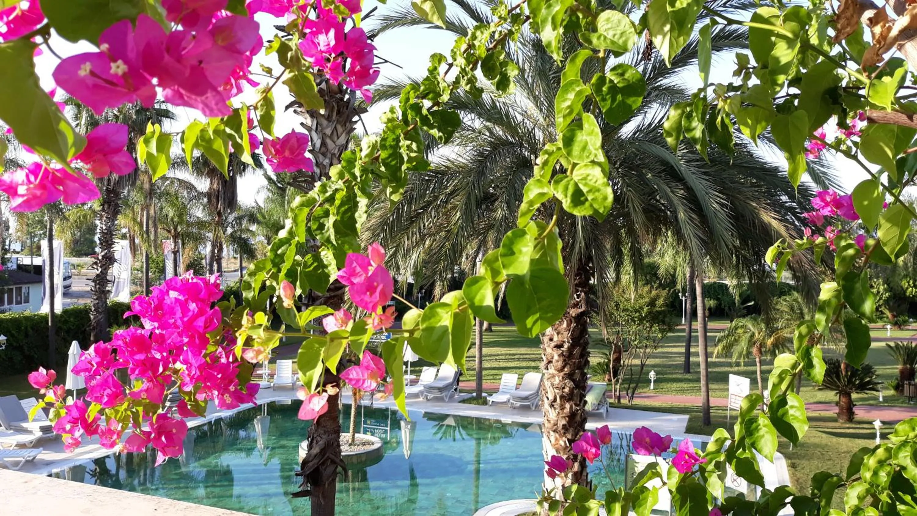 Garden view in Presa Di Finica Hotel