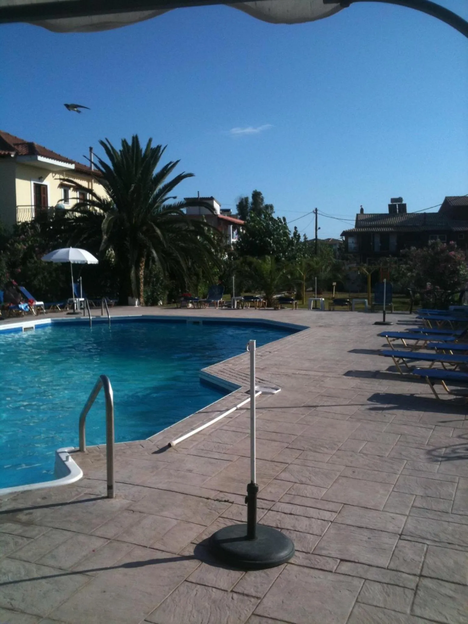 Swimming pool in Lord Complex