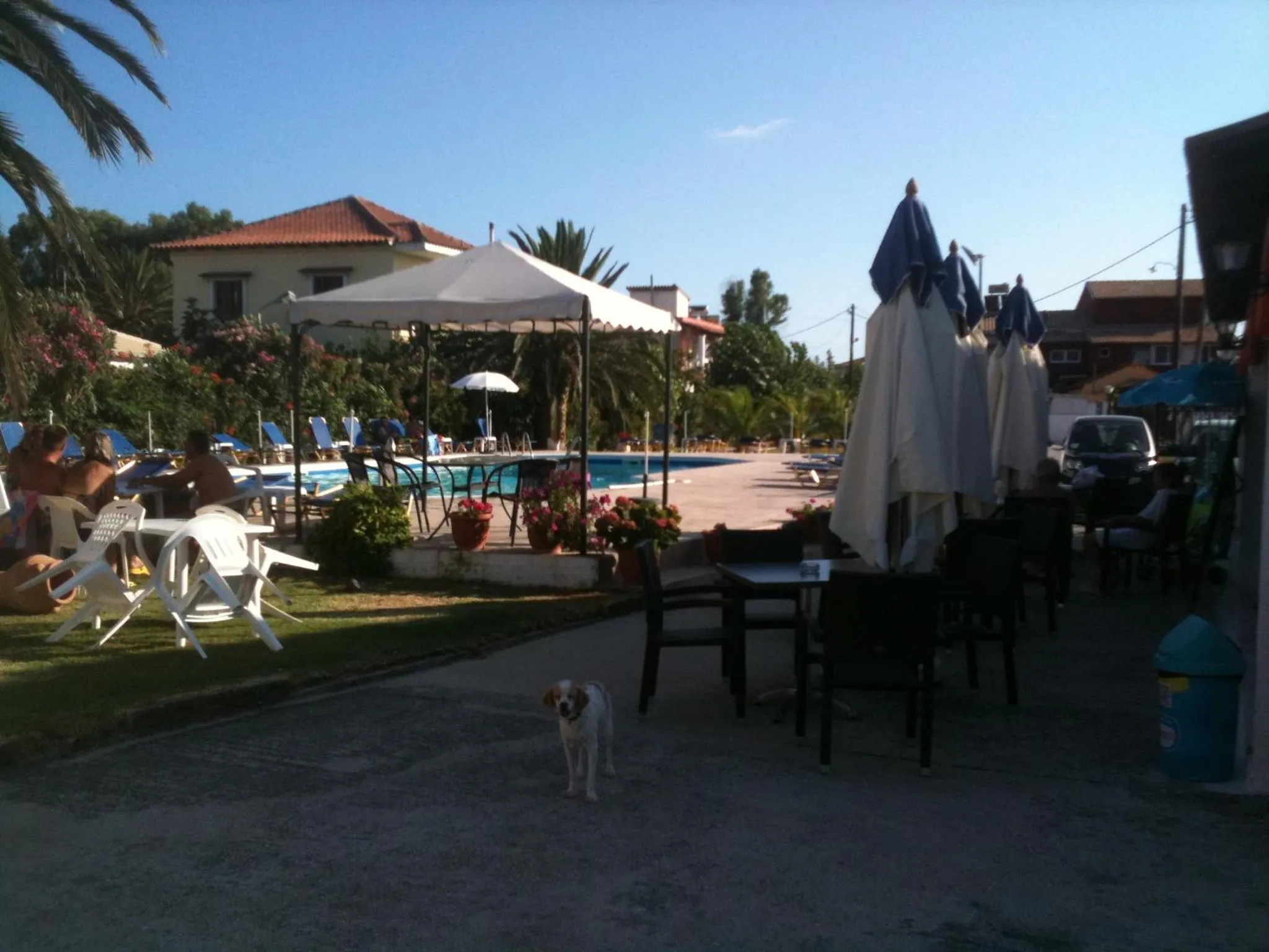 Swimming pool in Lord Complex