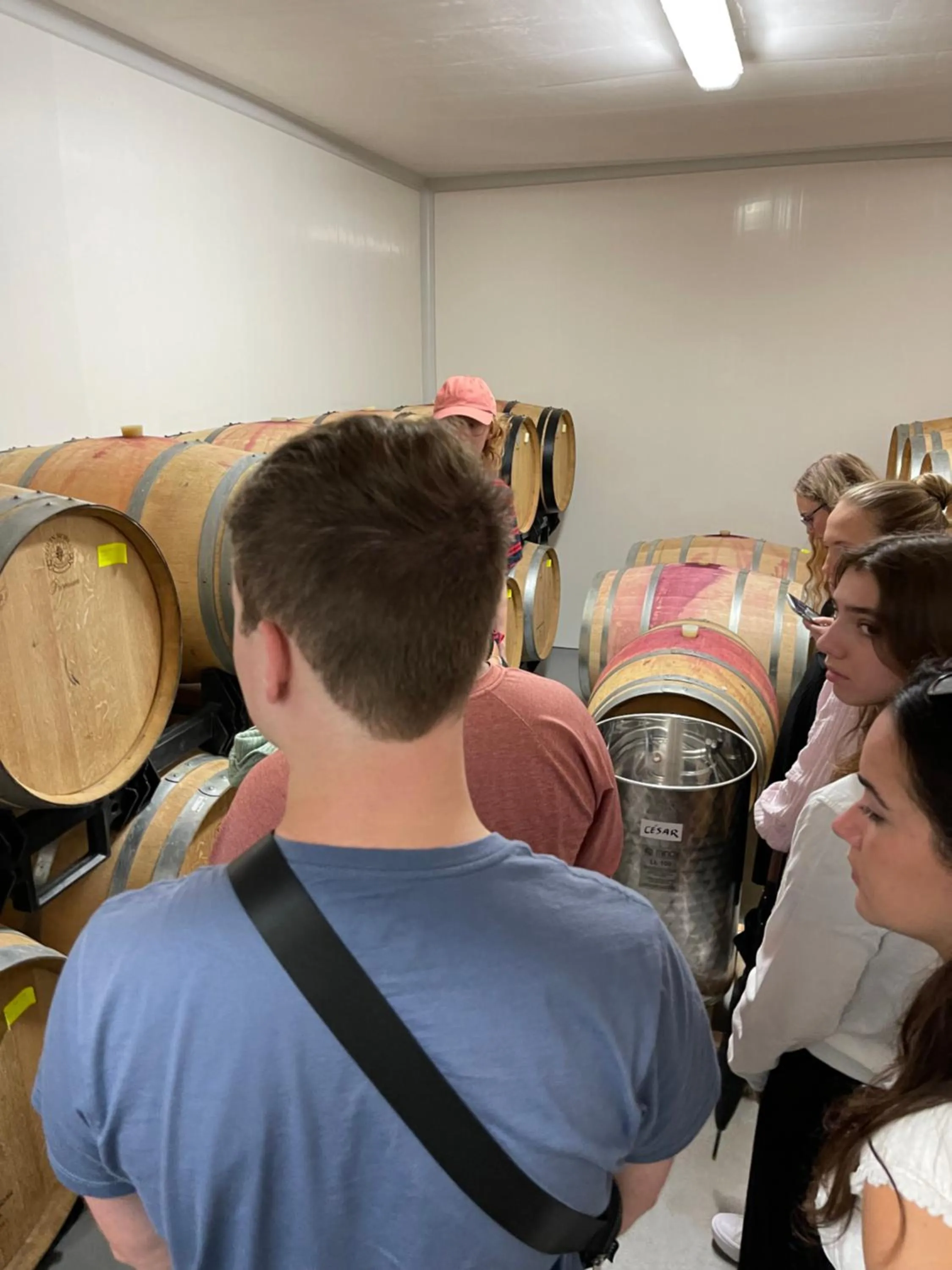 View (from property/room) in The Way Hotel Molinaseca