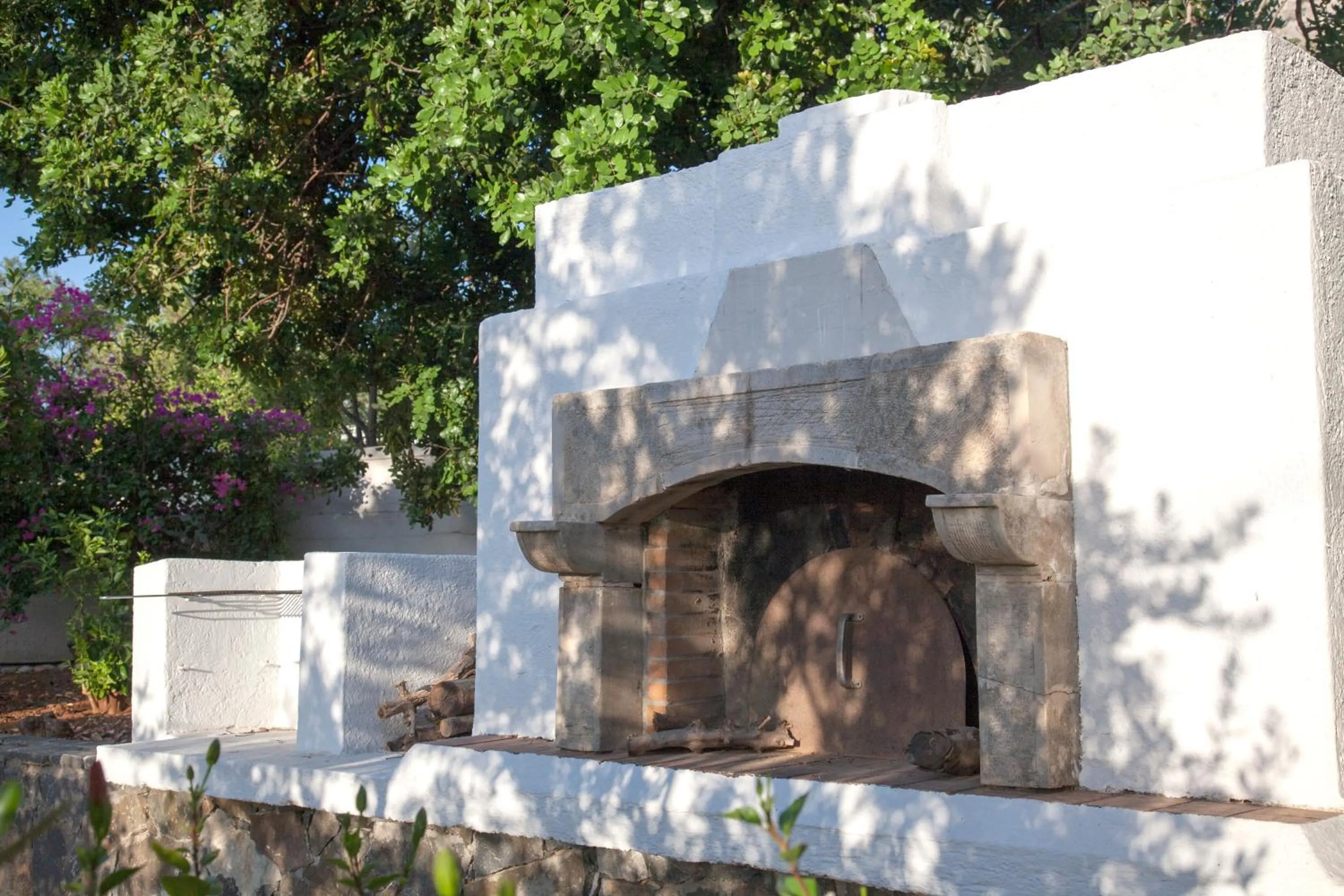 Garden in Villa Michalis