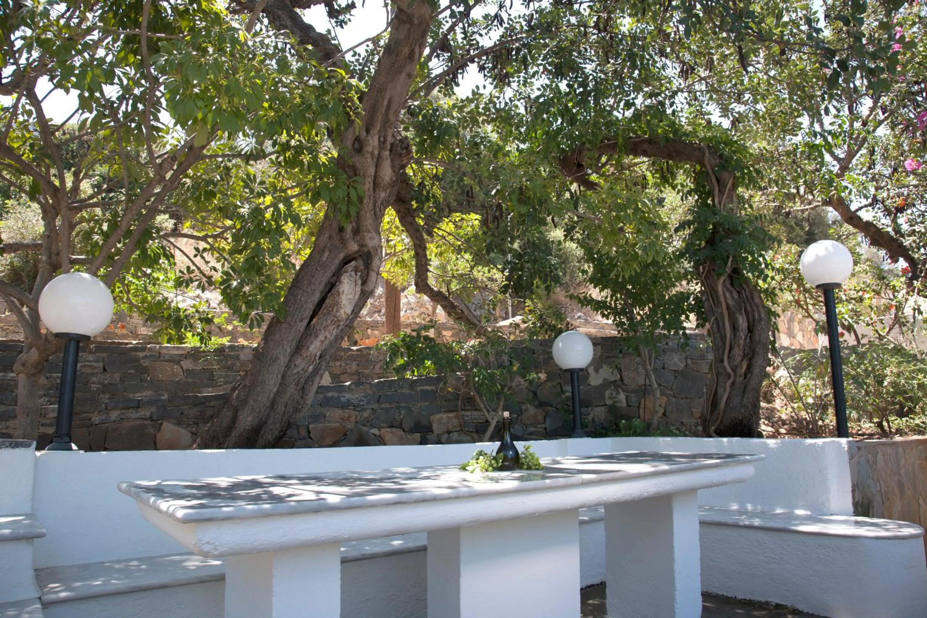 Garden in Villa Michalis