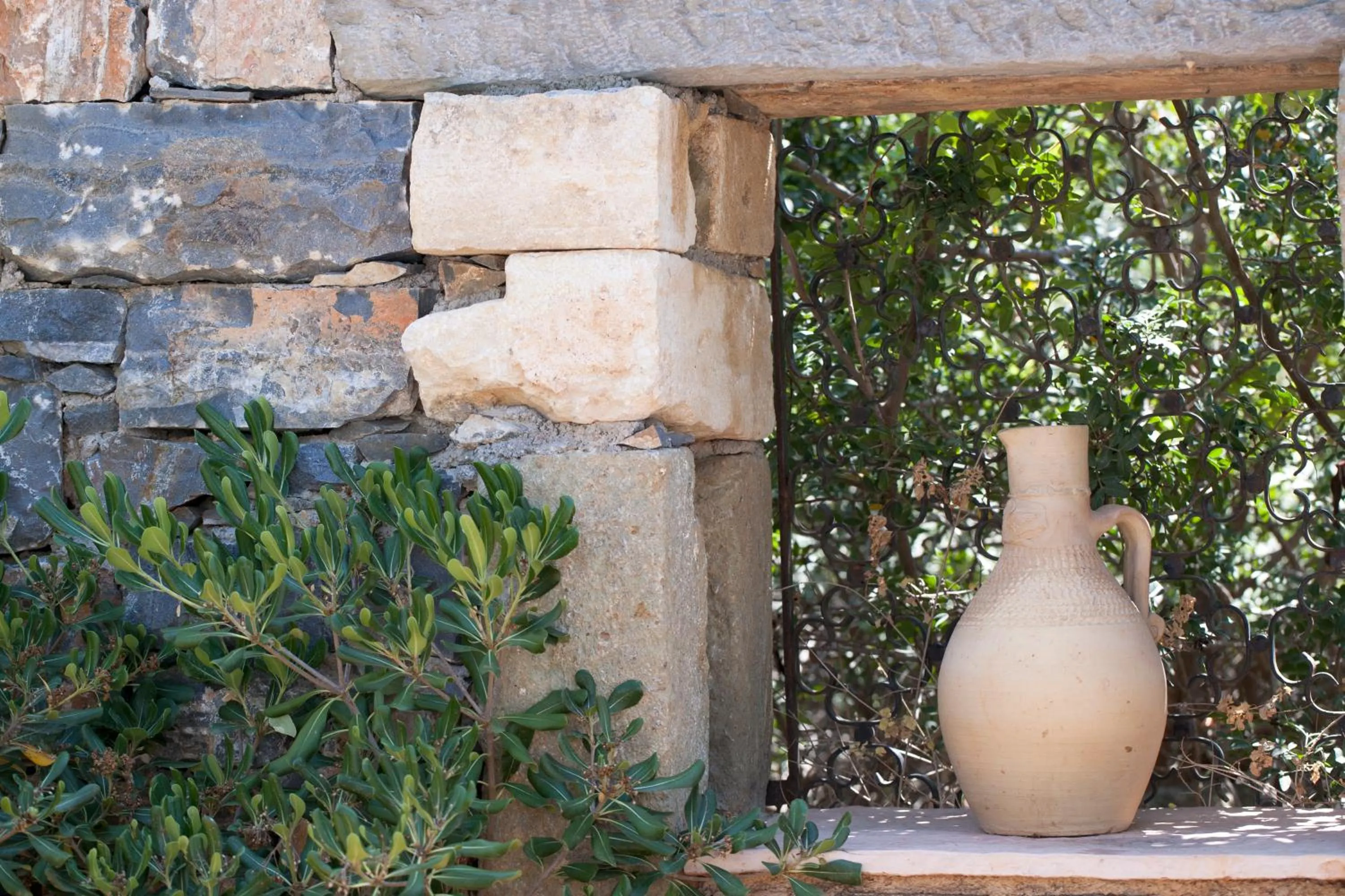 Garden in Villa Michalis