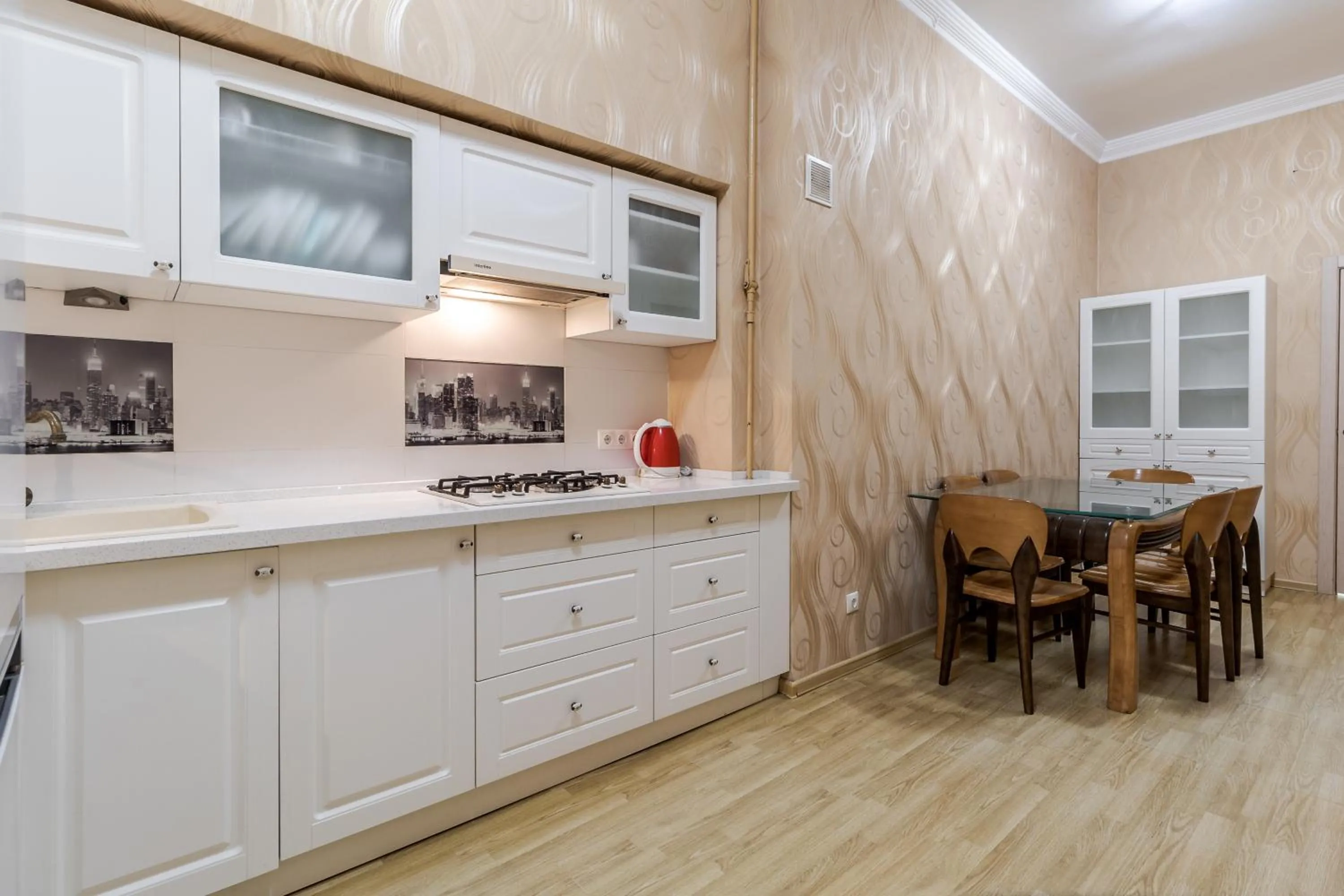 Communal kitchen in Vynnychenka apartment