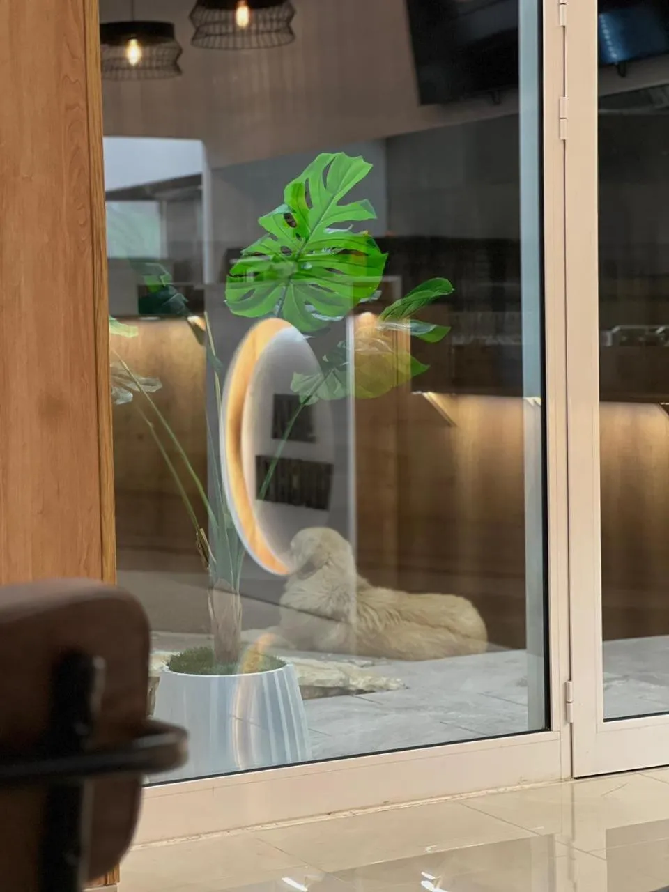 Restaurant/places to eat in Jata Hotel