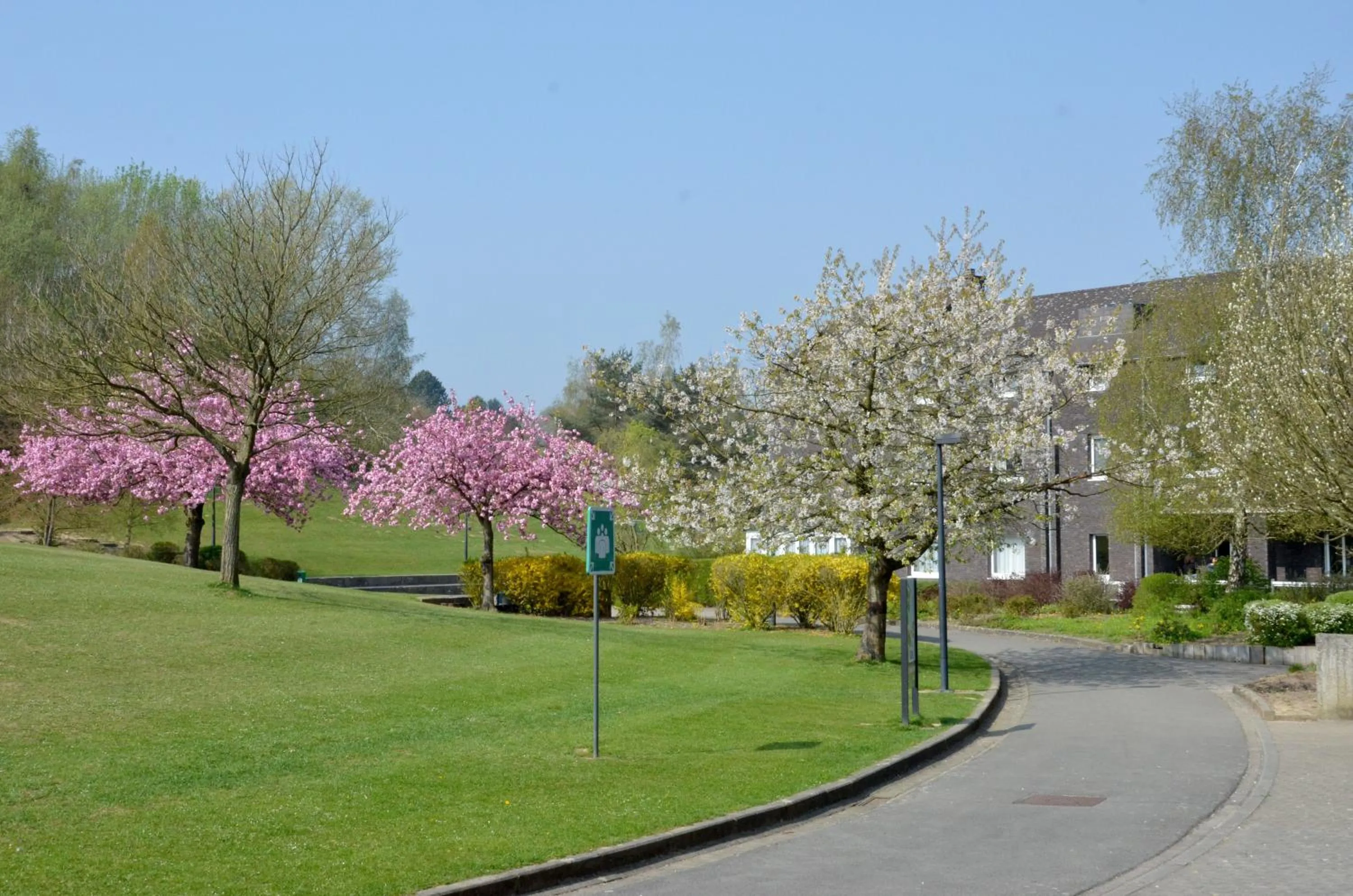 Spring in Auberge des 3 Fontaines - Youth Hostel