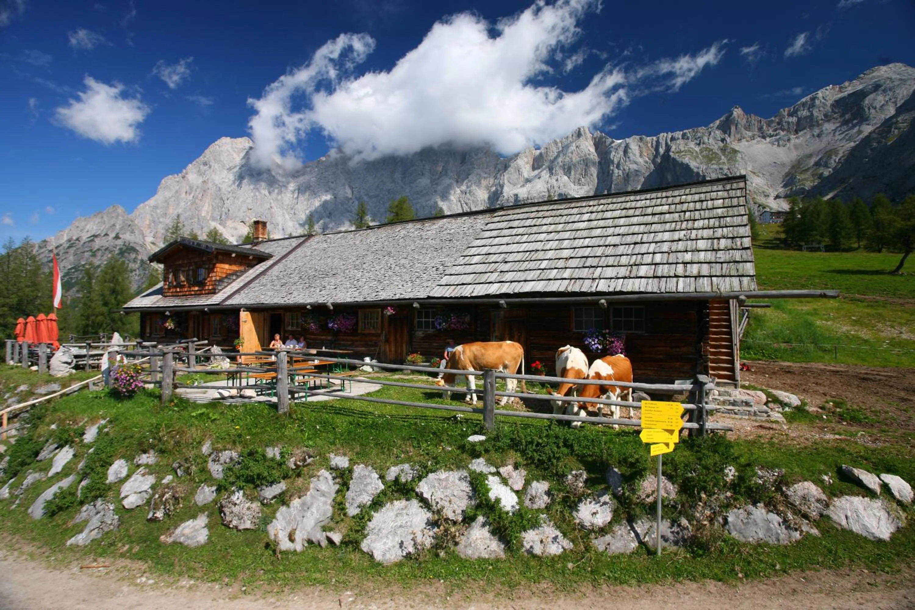 Summer in Appartement Enns by Schladmingurlaub
