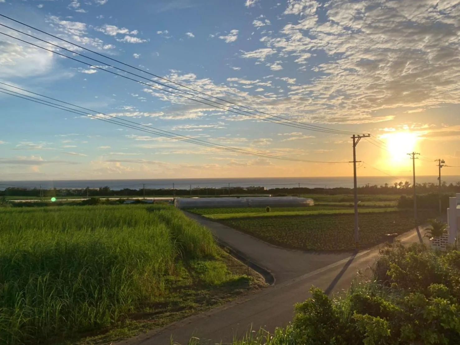 View (from property/room) in JAM ClubHouse Resort