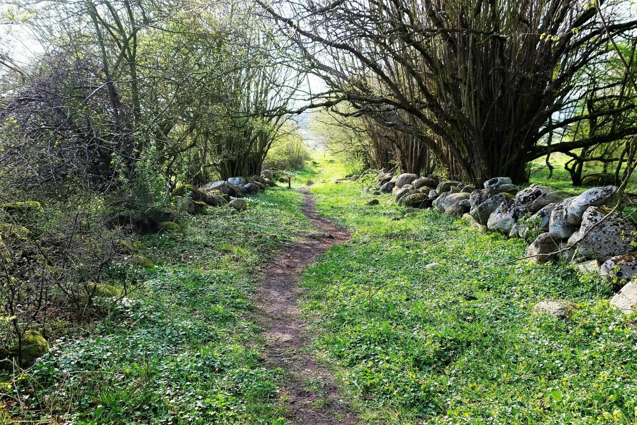 Nearby landmark in Bodelssons by the Sea