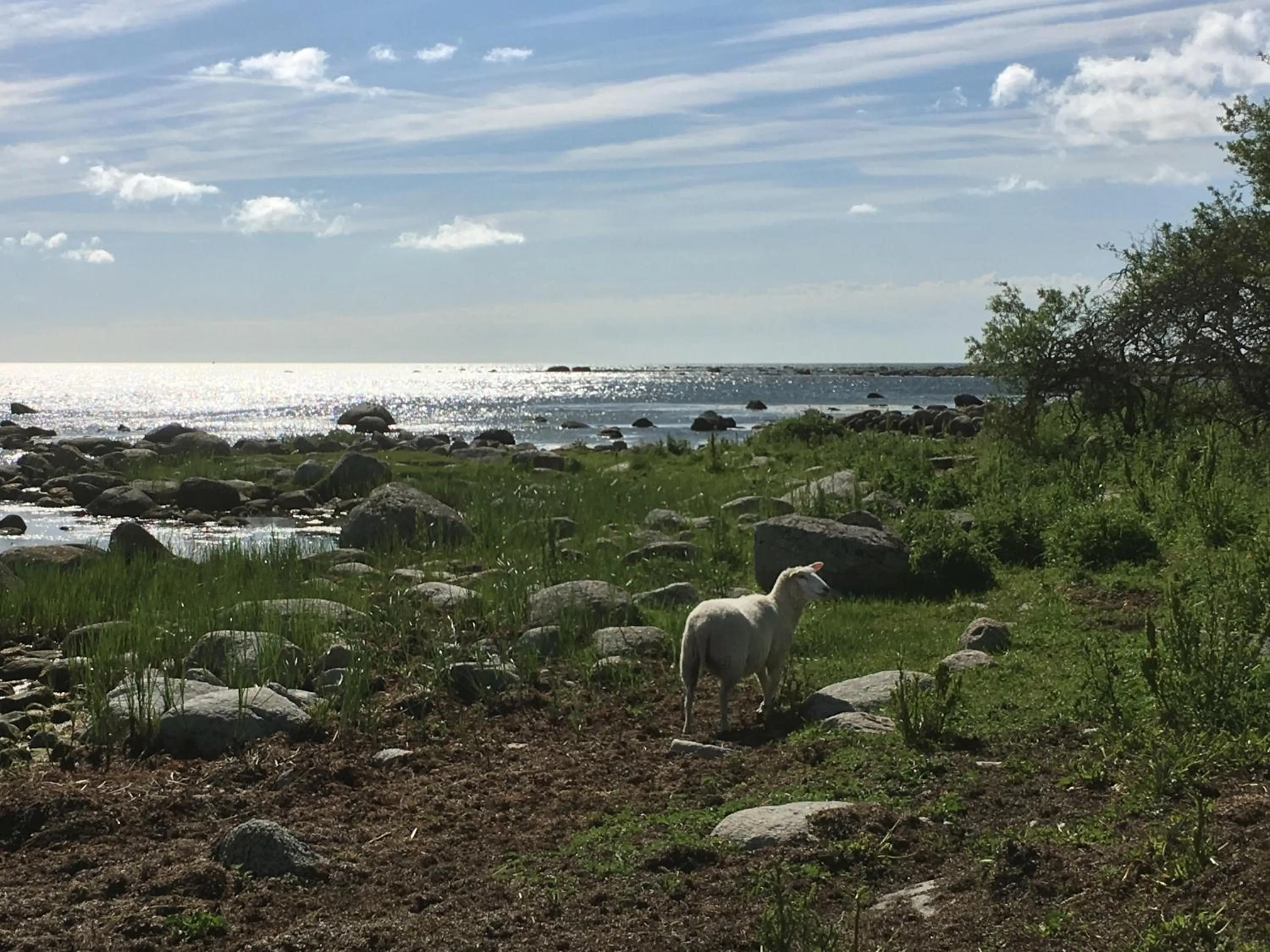 Off site in Bodelssons by the Sea