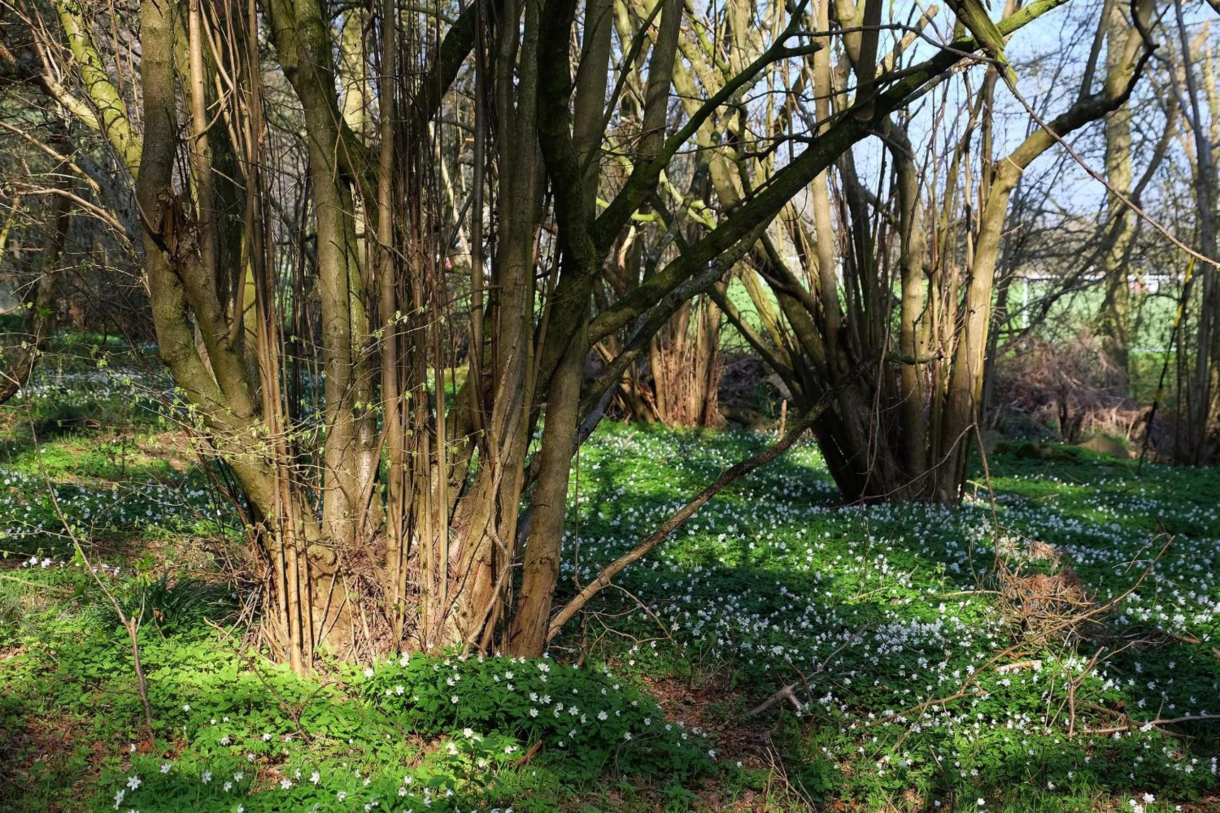 Nearby landmark in Bodelssons by the Sea