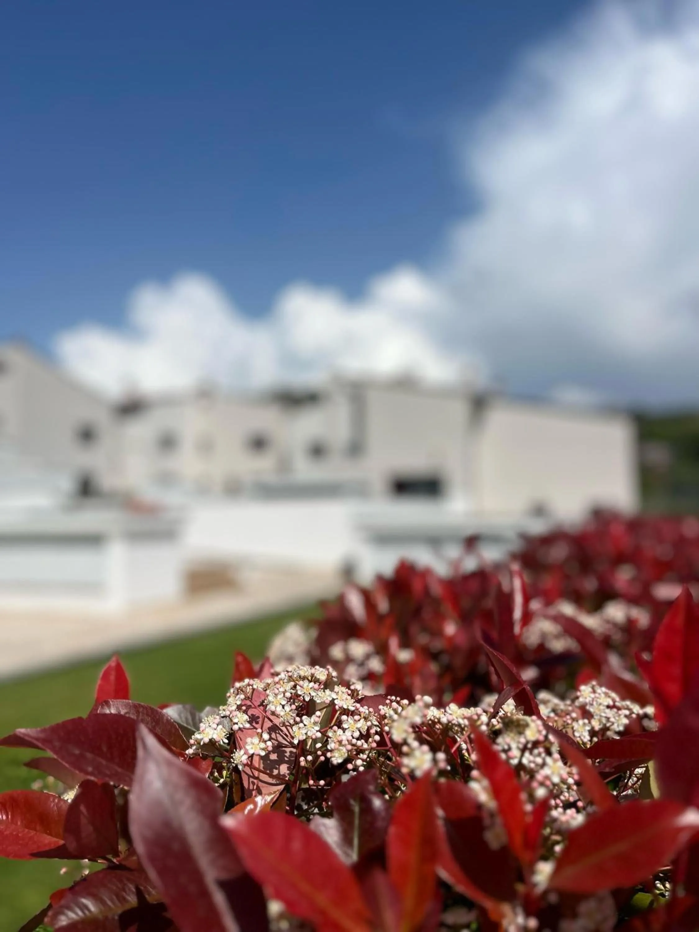 Garden in The Florence Hills Resort & Wellness