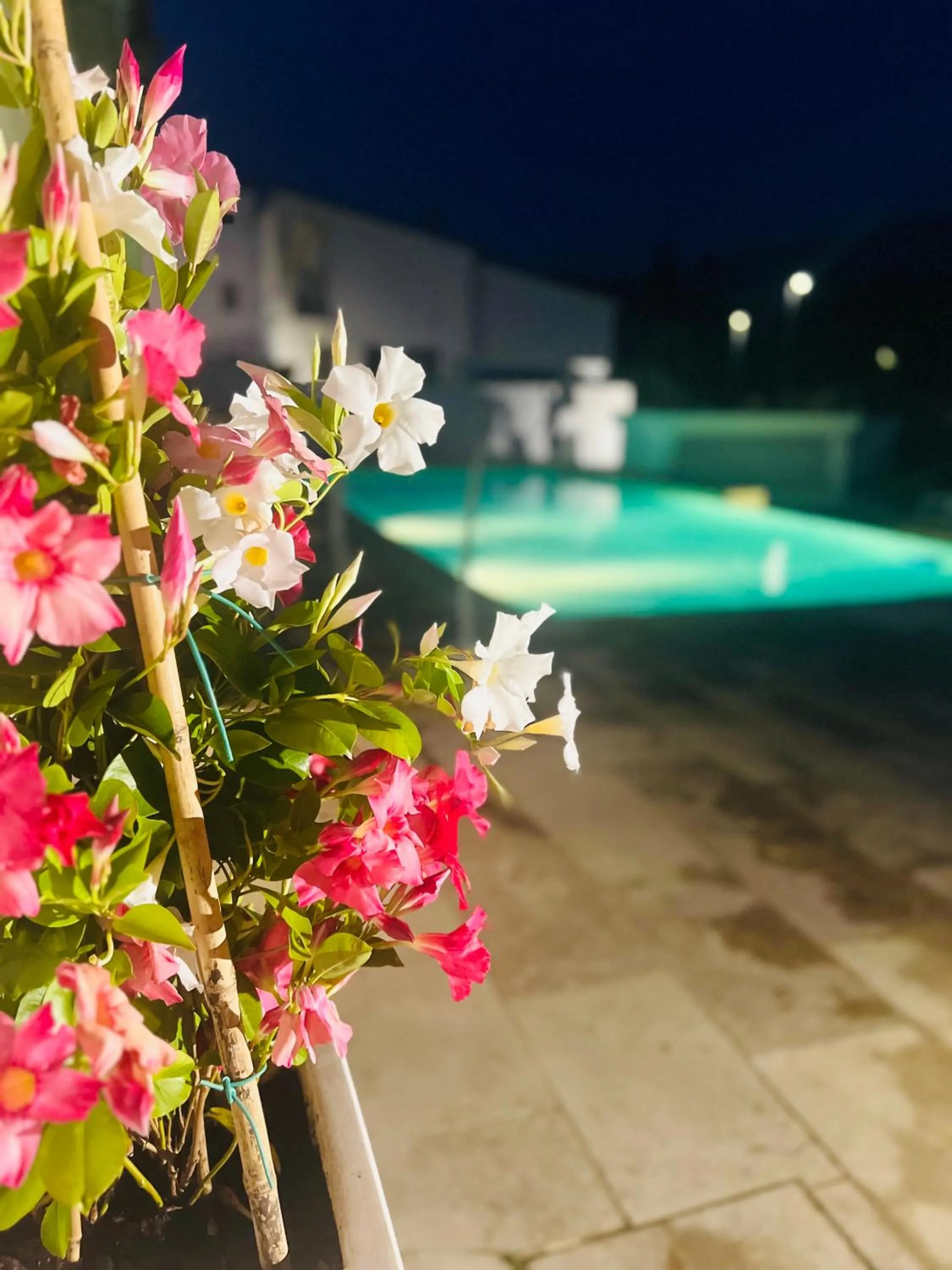 Pool view in The Florence Hills Resort & Wellness