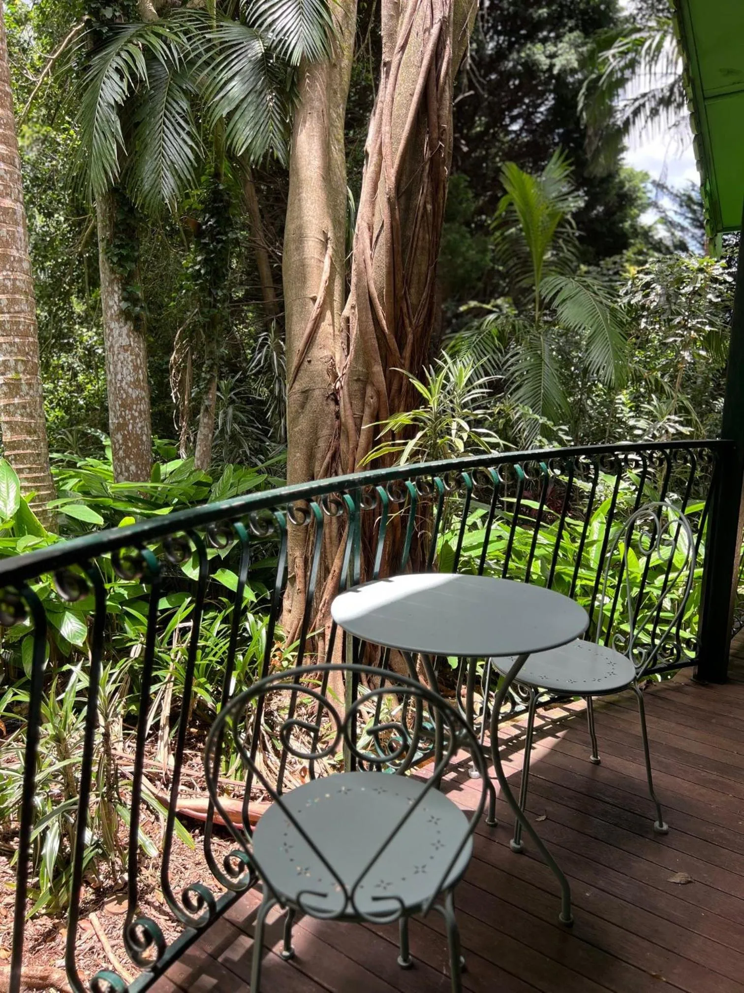 Gallery Walk Chalets - Tamborine Mountain