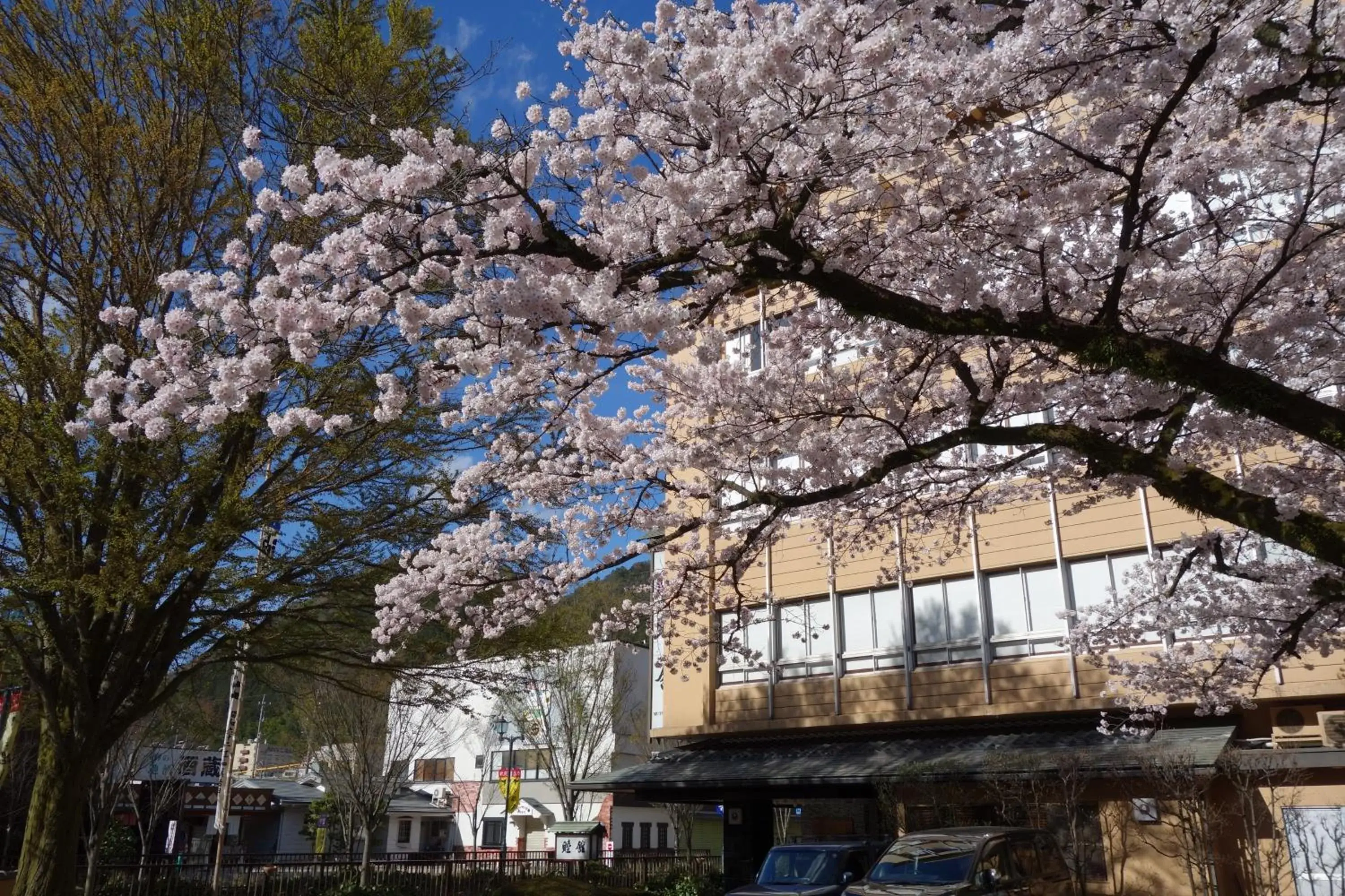 Facade/entrance in Mutsumikan Facade/entrance in Mutsumikan