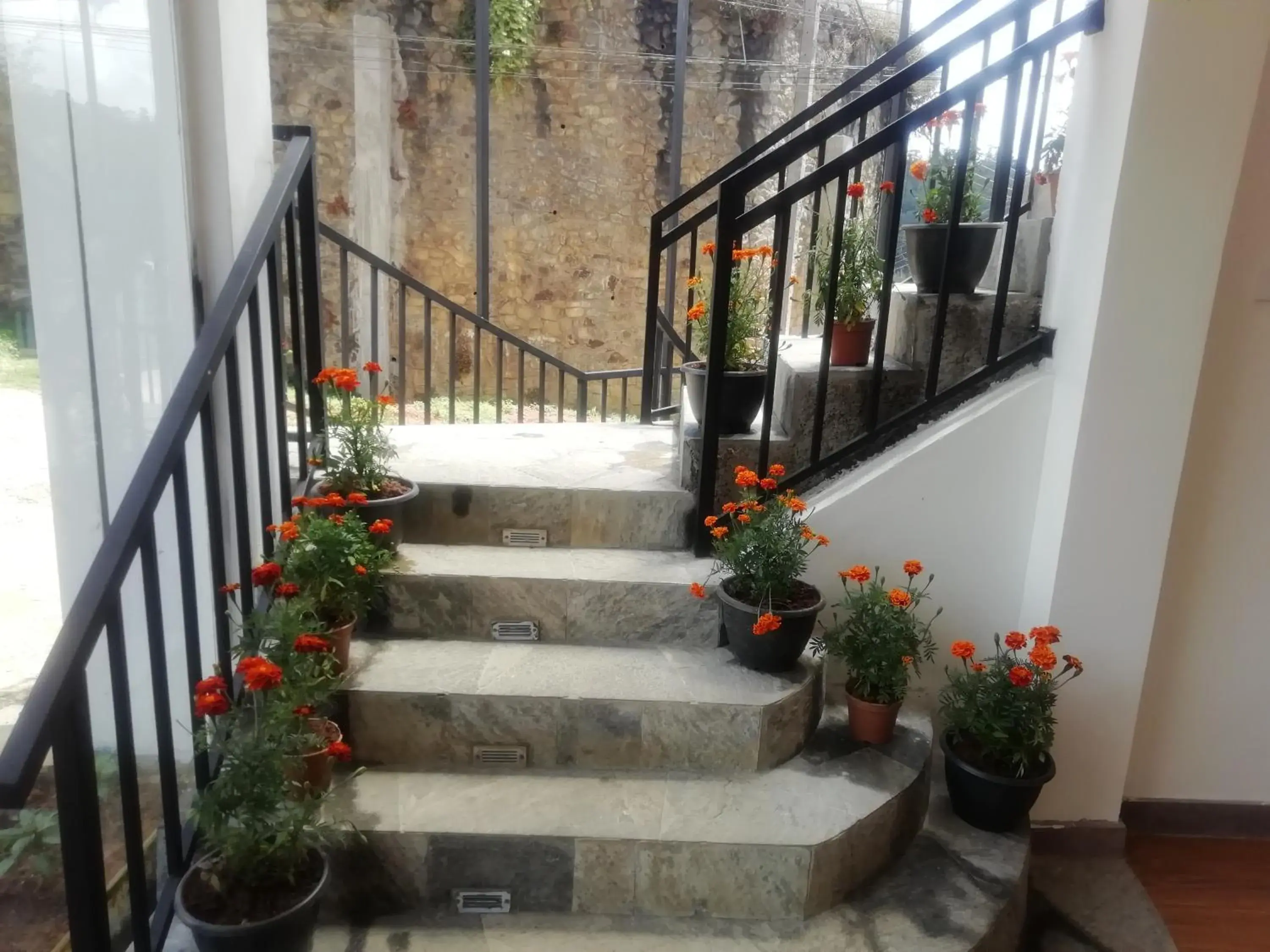 Property building in Tea Mount Forest Property building in Tea Mount Forest