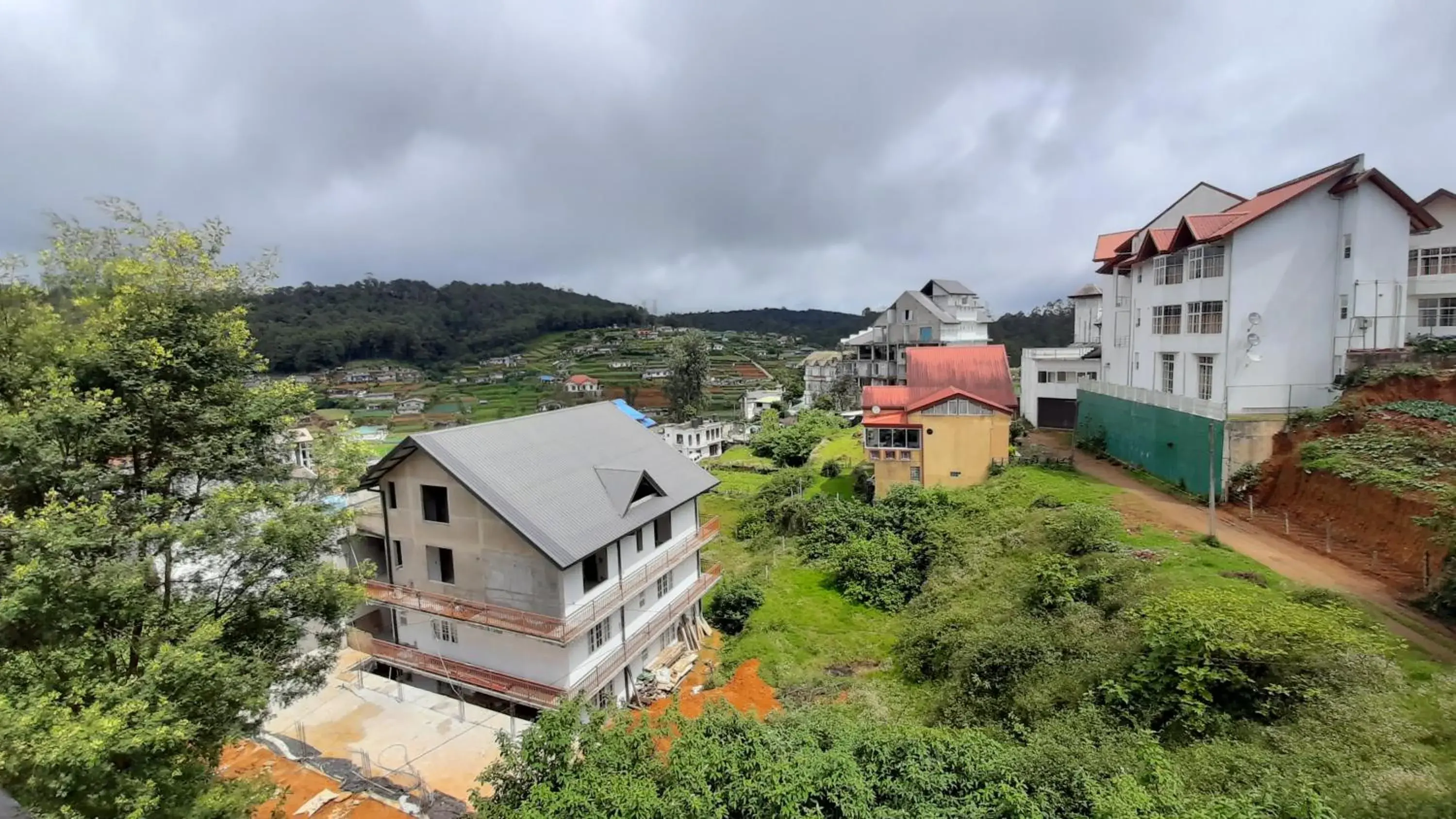 Mountain view in Tea Mount Forest Mountain view in Tea Mount Forest