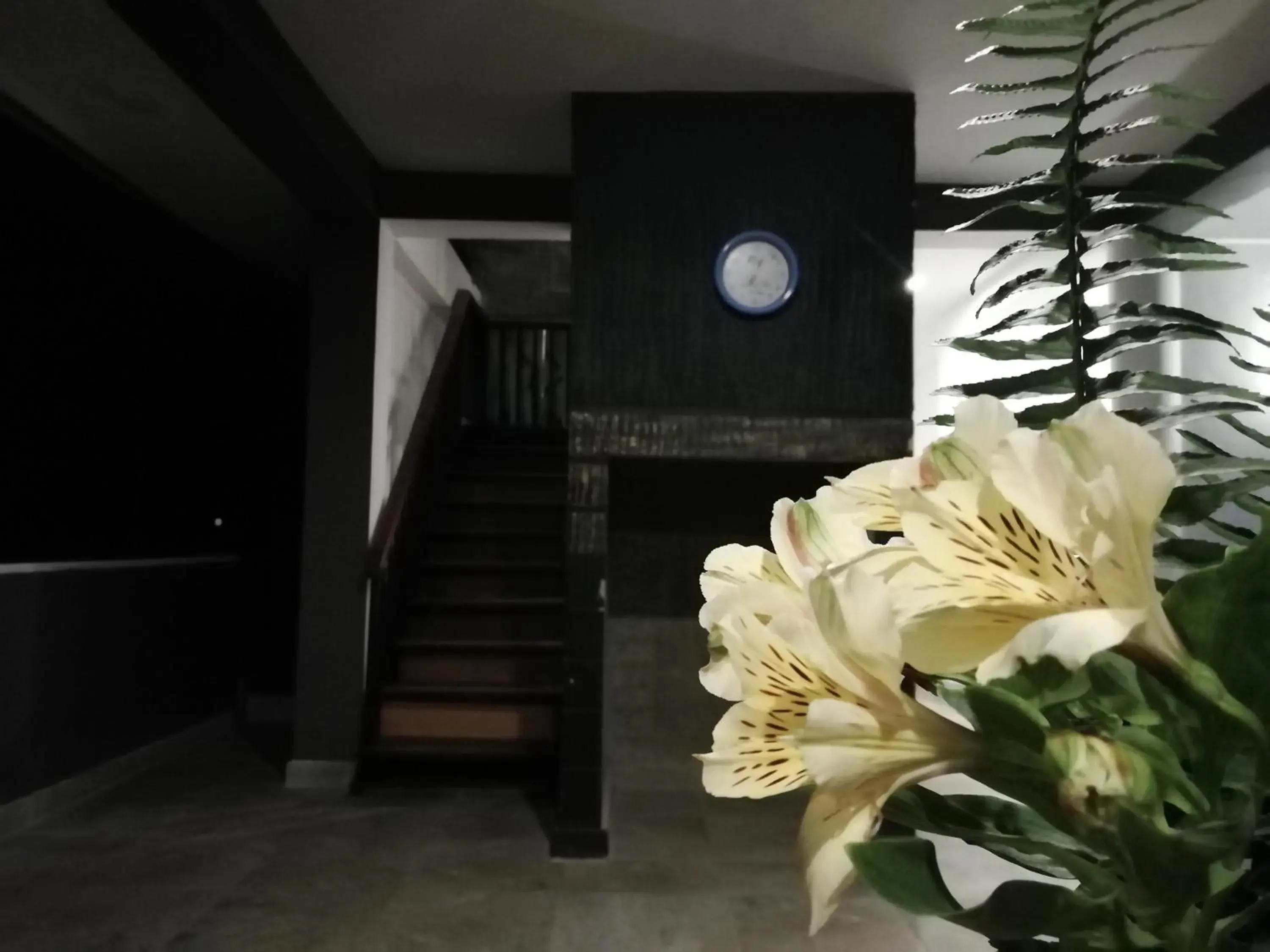 Property building in Tea Mount Forest Property building in Tea Mount Forest