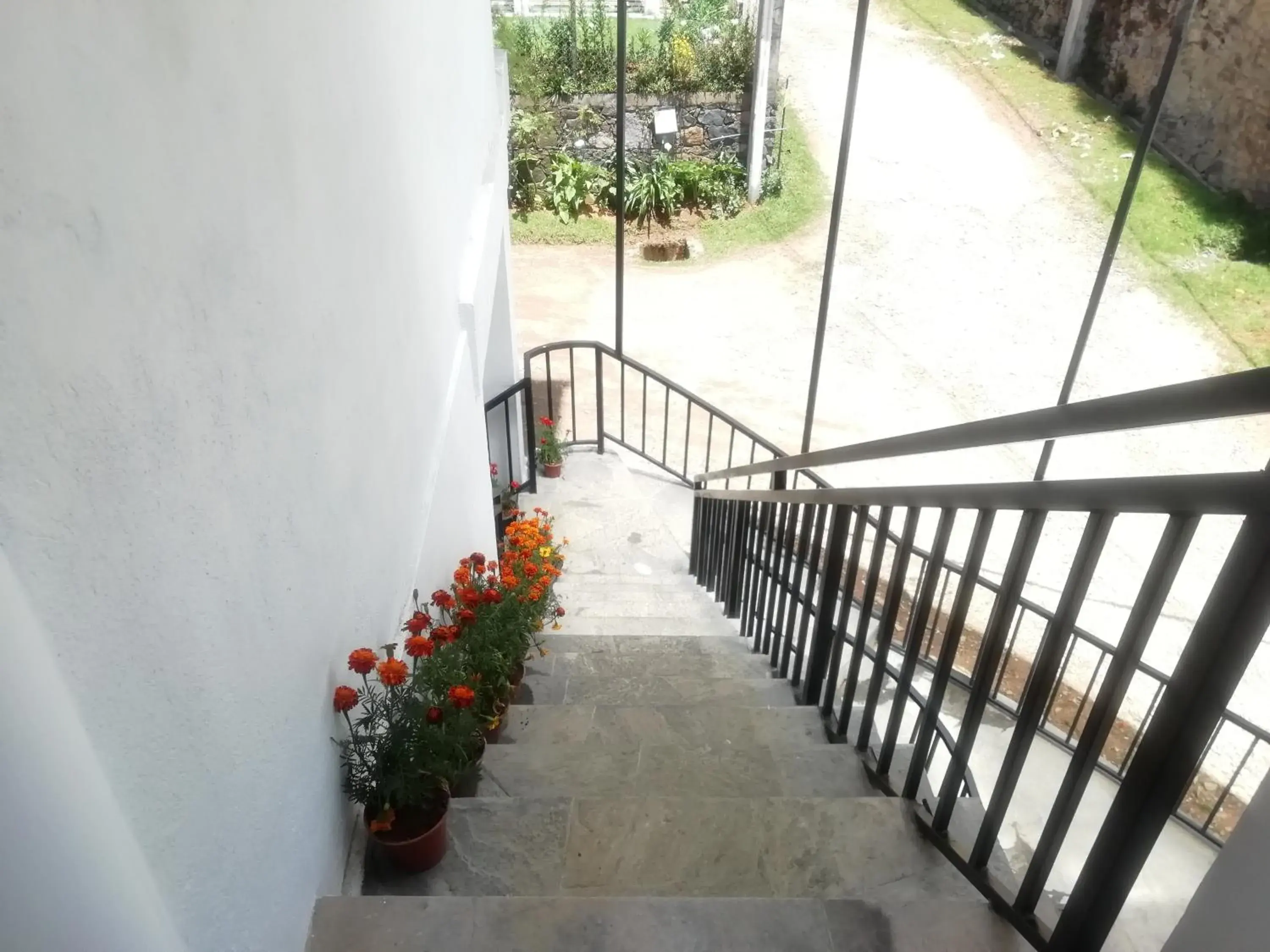 Property building in Tea Mount Forest Property building in Tea Mount Forest