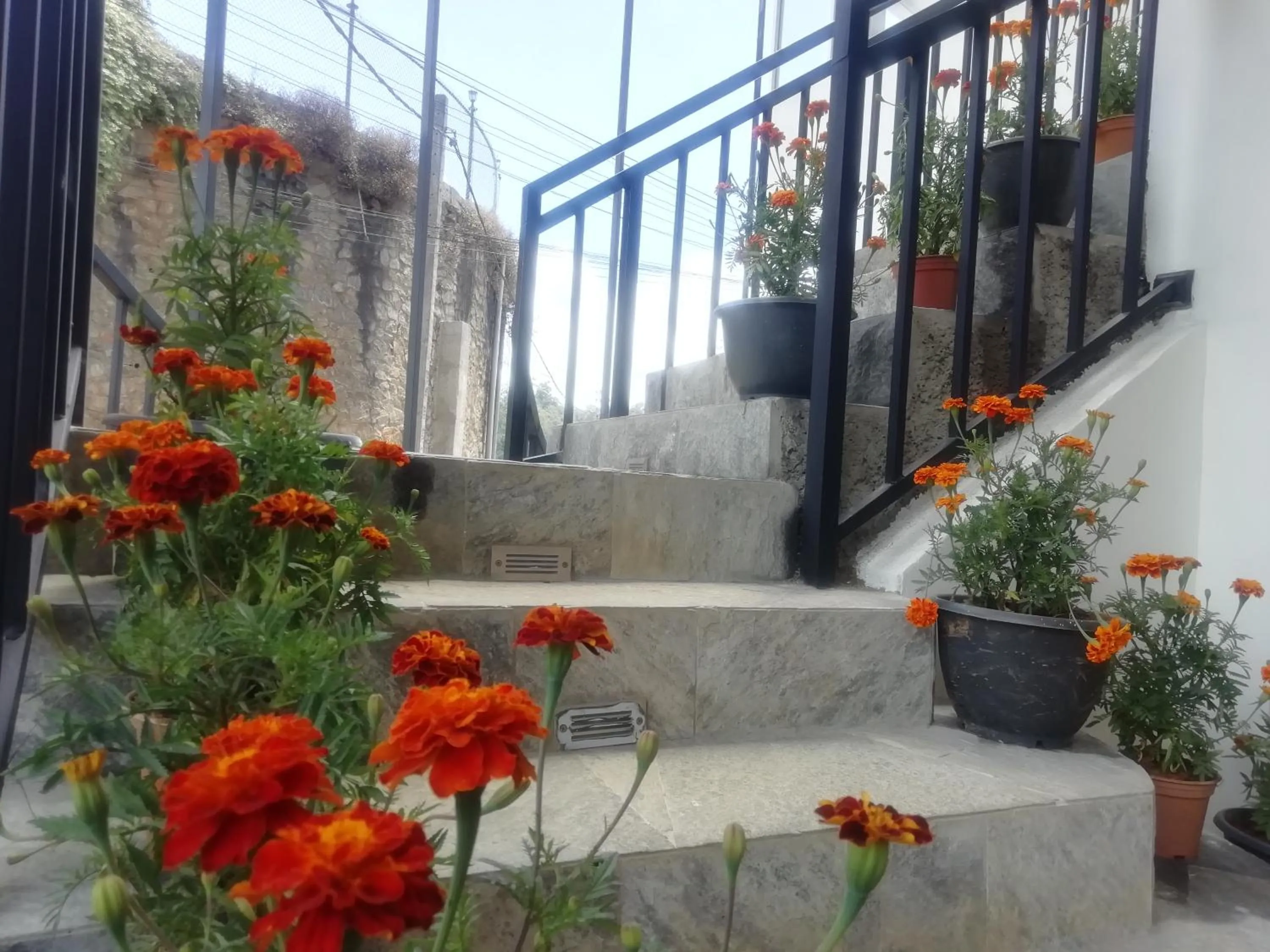 Property building in Tea Mount Forest