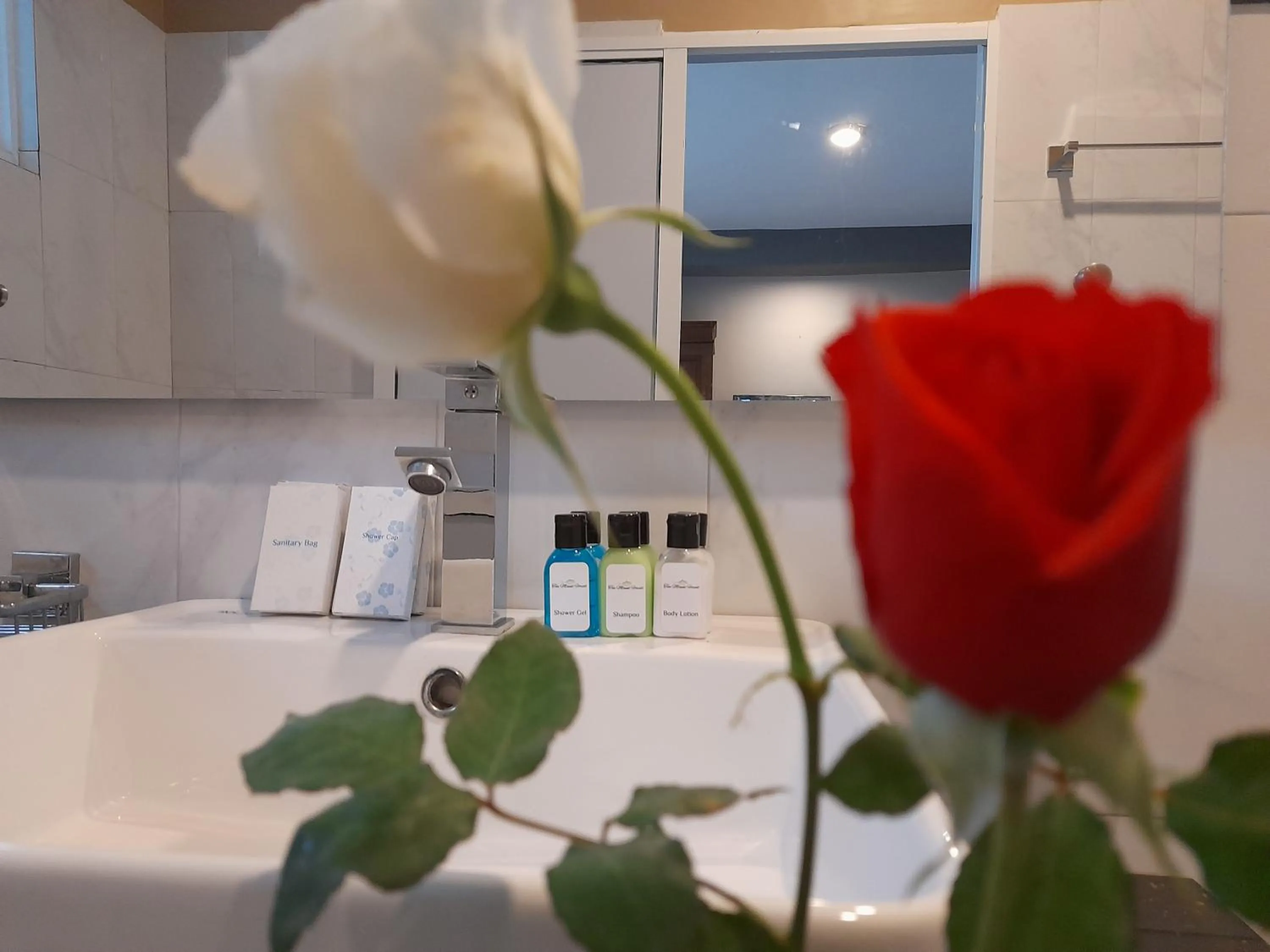 Bathroom in Tea Mount Forest