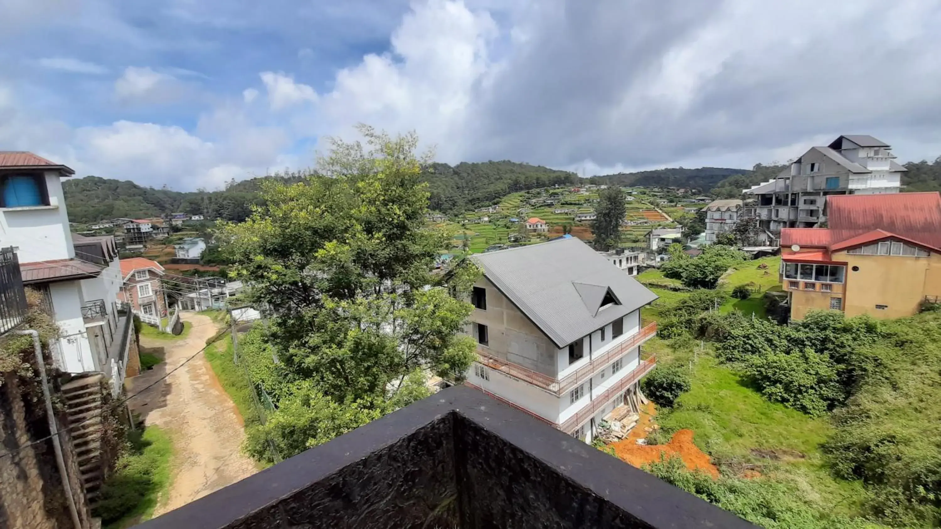 City view in Tea Mount Forest City view in Tea Mount Forest