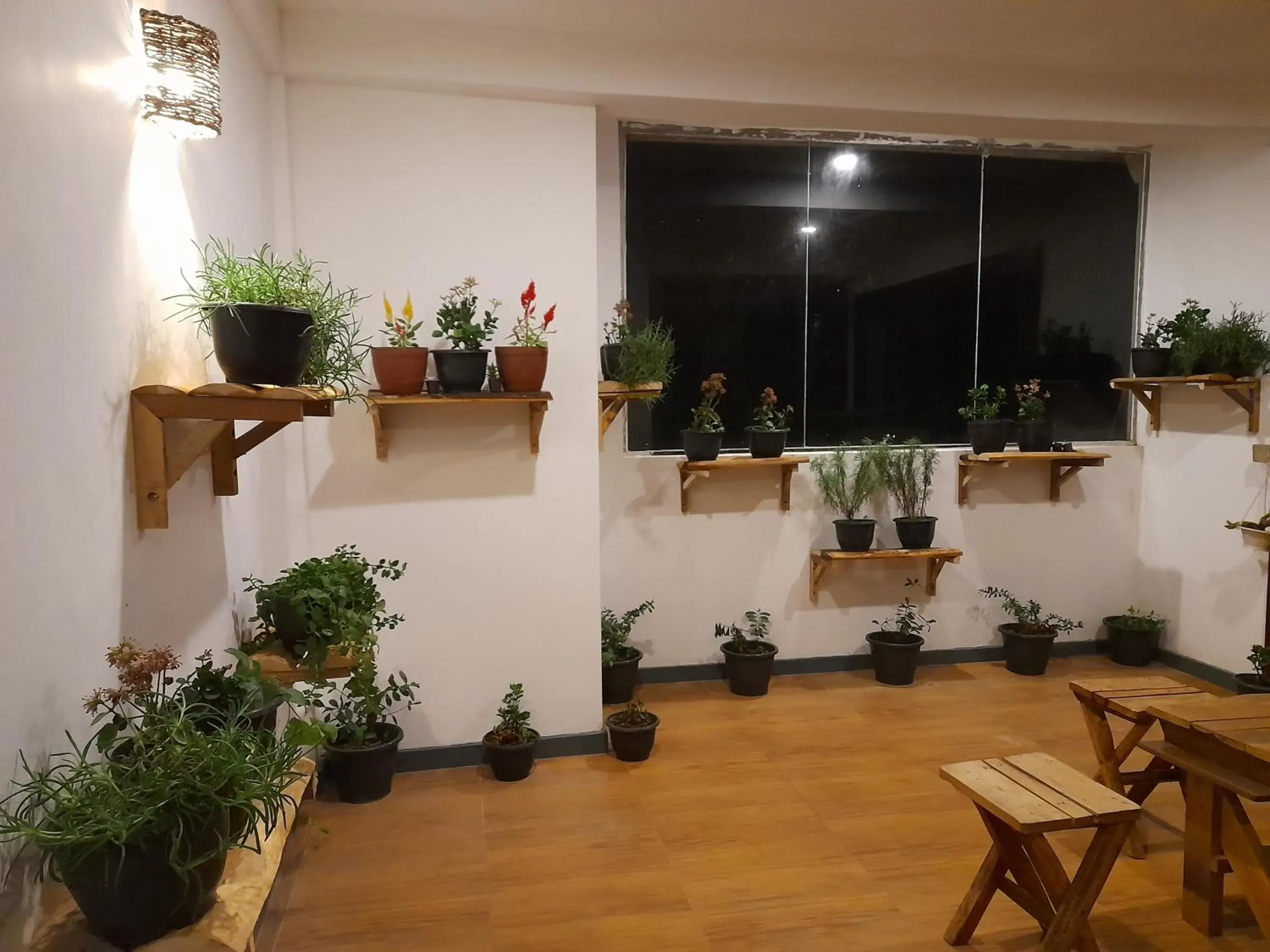 Lobby or reception in Tea Mount Forest Lobby or reception in Tea Mount Forest