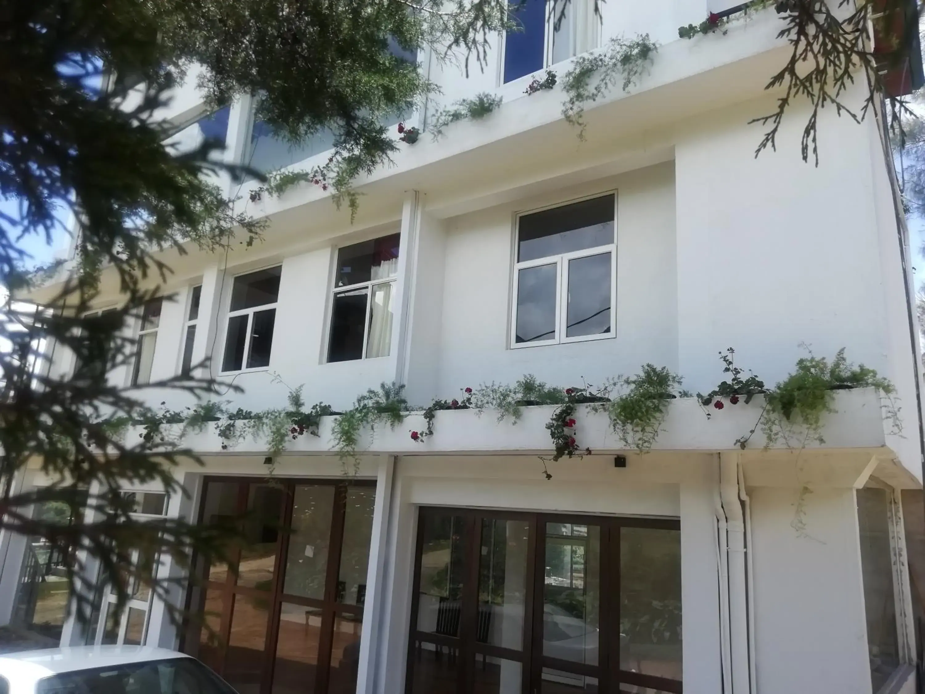 Property building in Tea Mount Forest Property building in Tea Mount Forest