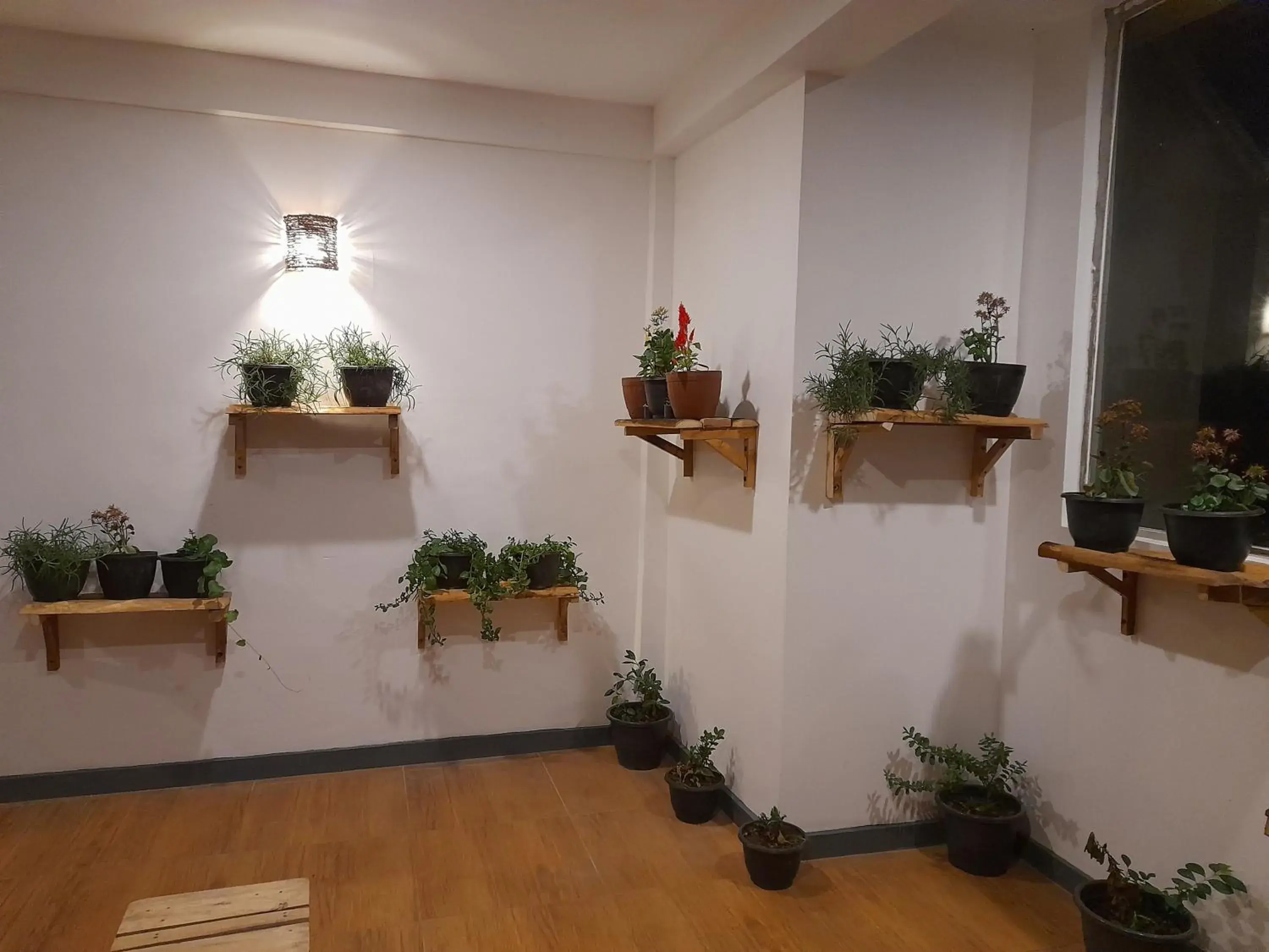 Lobby or reception in Tea Mount Forest Lobby or reception in Tea Mount Forest