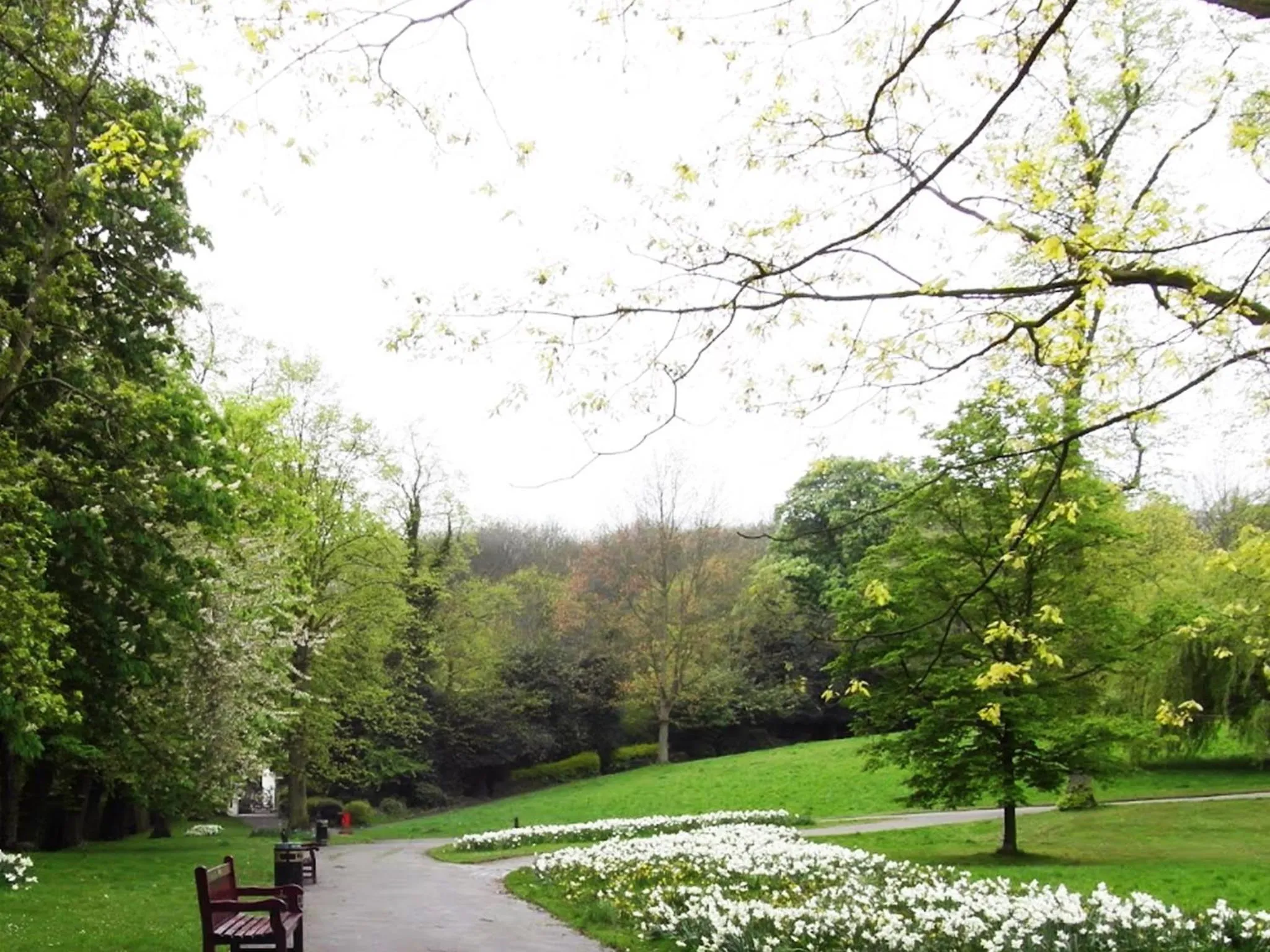 Area and facilities in Roseview Alexandra Palace Hotel