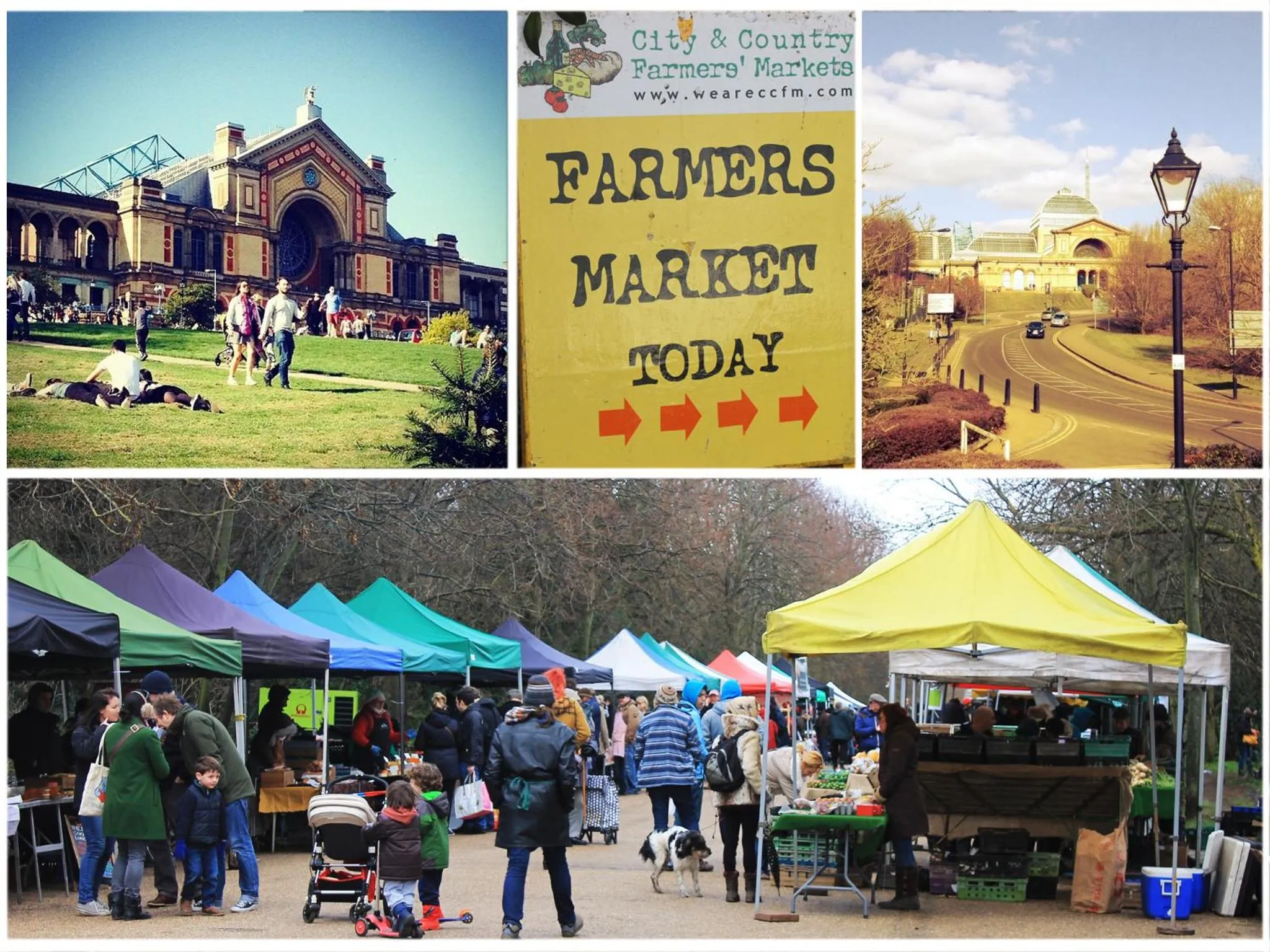 Area and facilities in Roseview Alexandra Palace Hotel
