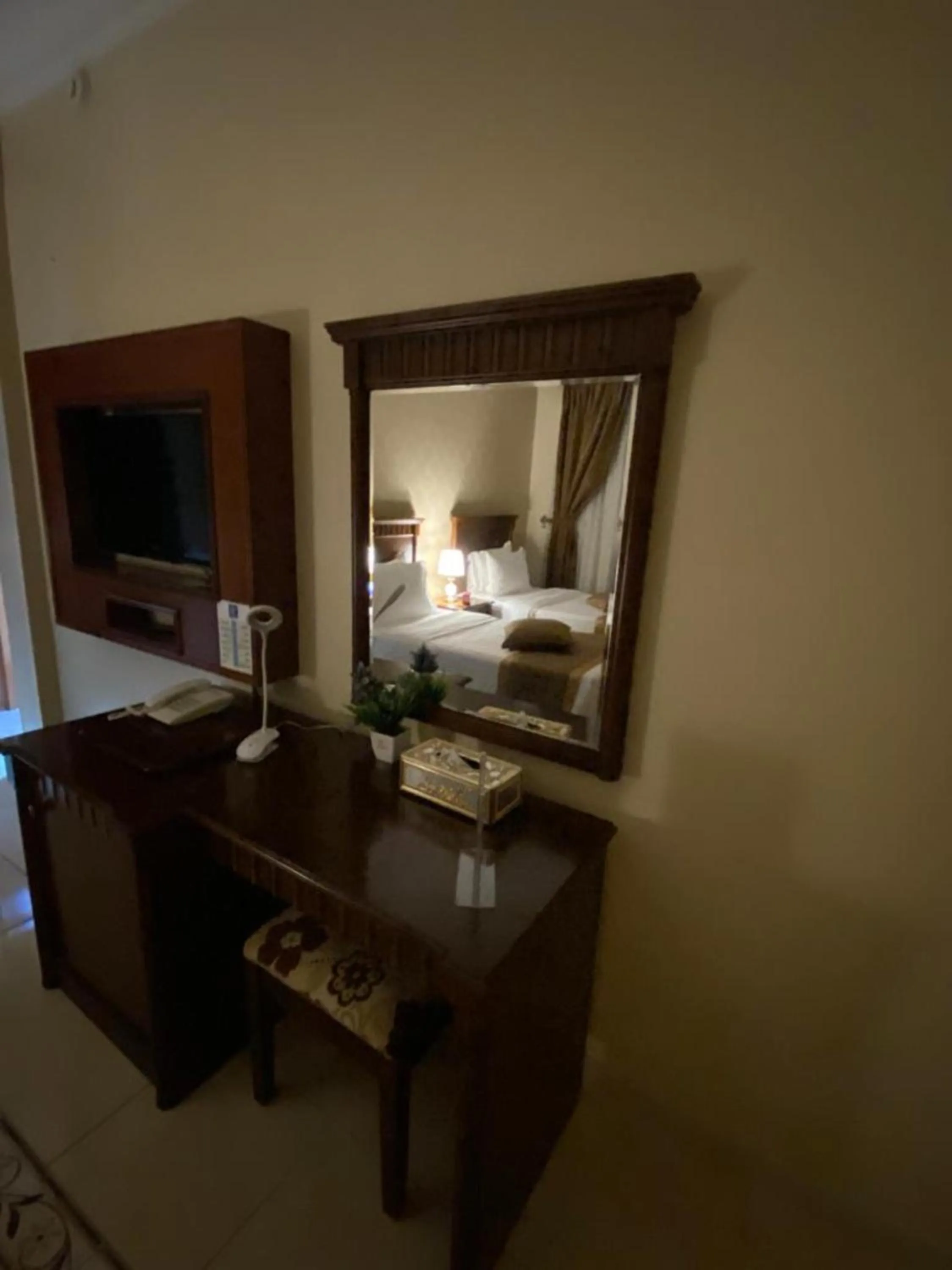 TV and multimedia in Hayat Redwa Hotel