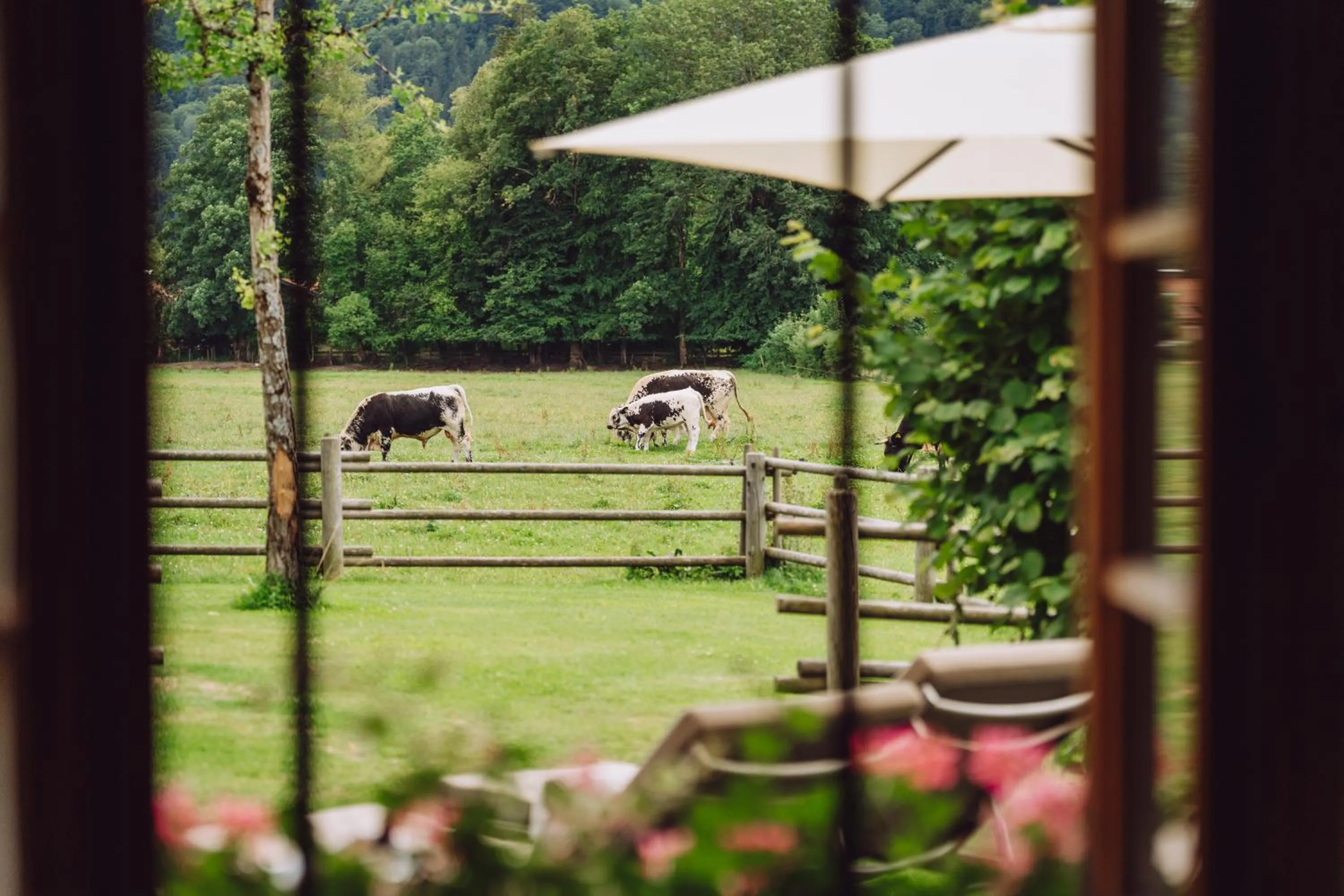 View (from property/room) in Parkhotel Egerner Höfe