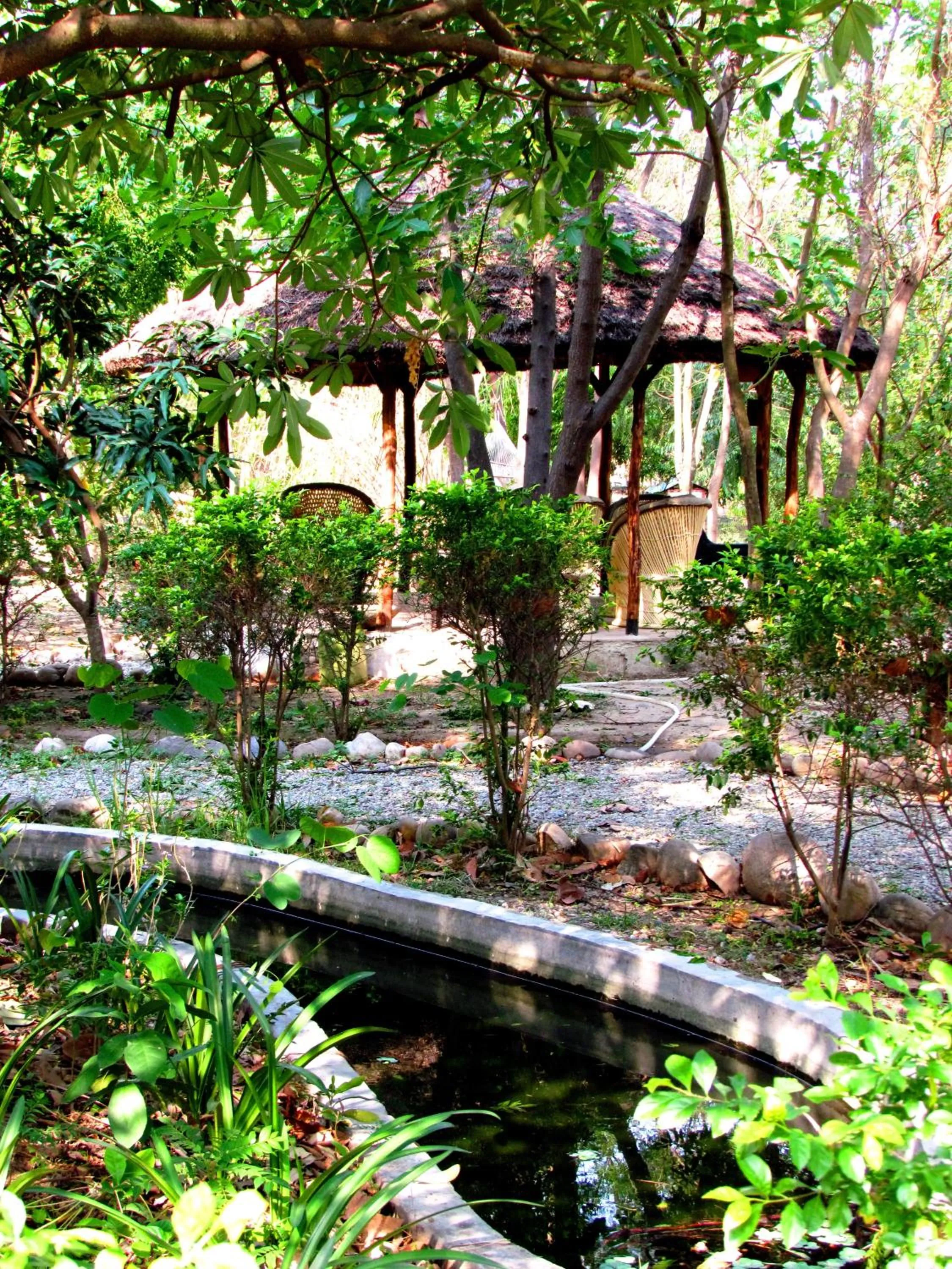 Patio in Jim's Jungle Retreat