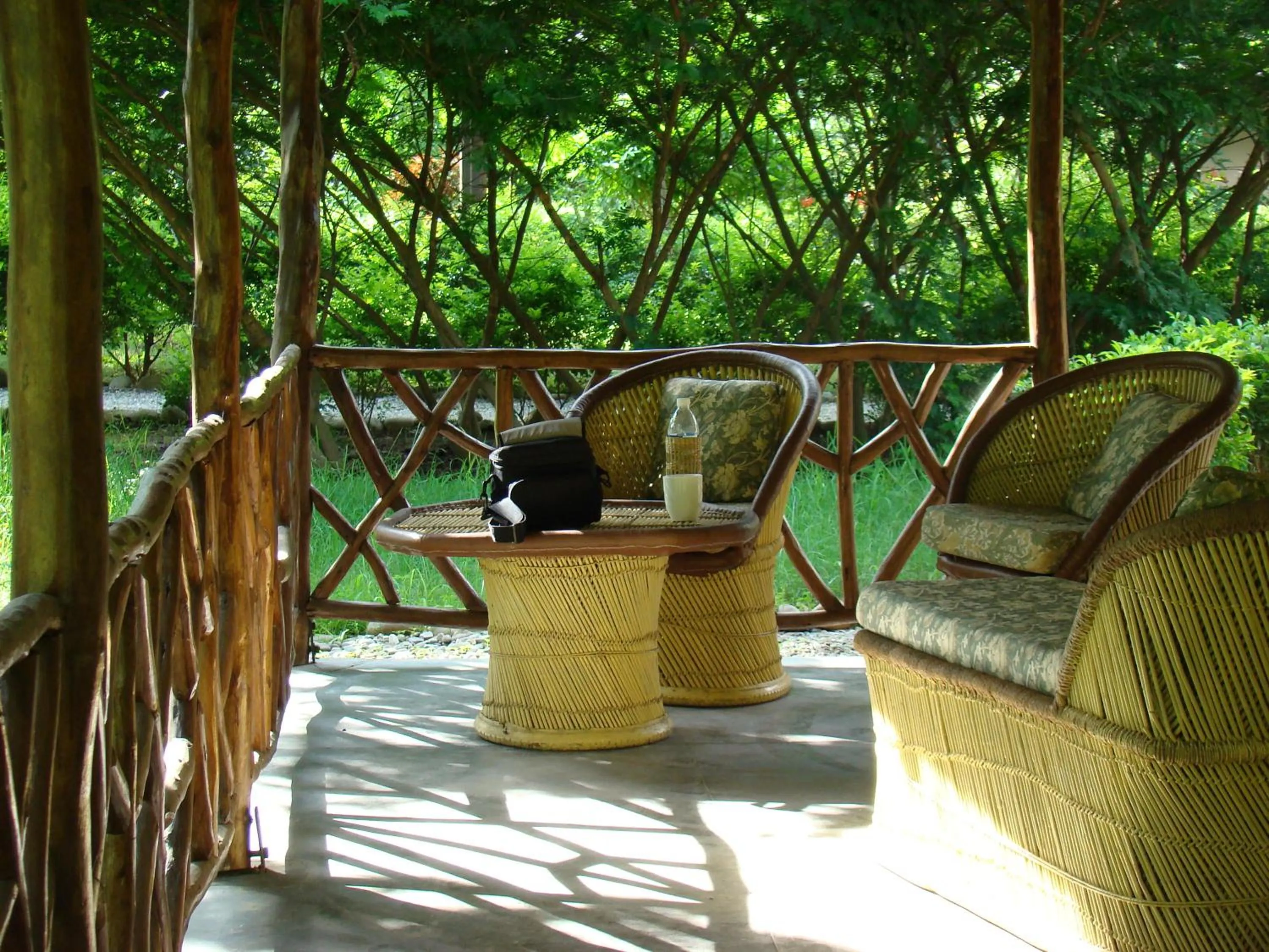 Patio in Jim's Jungle Retreat