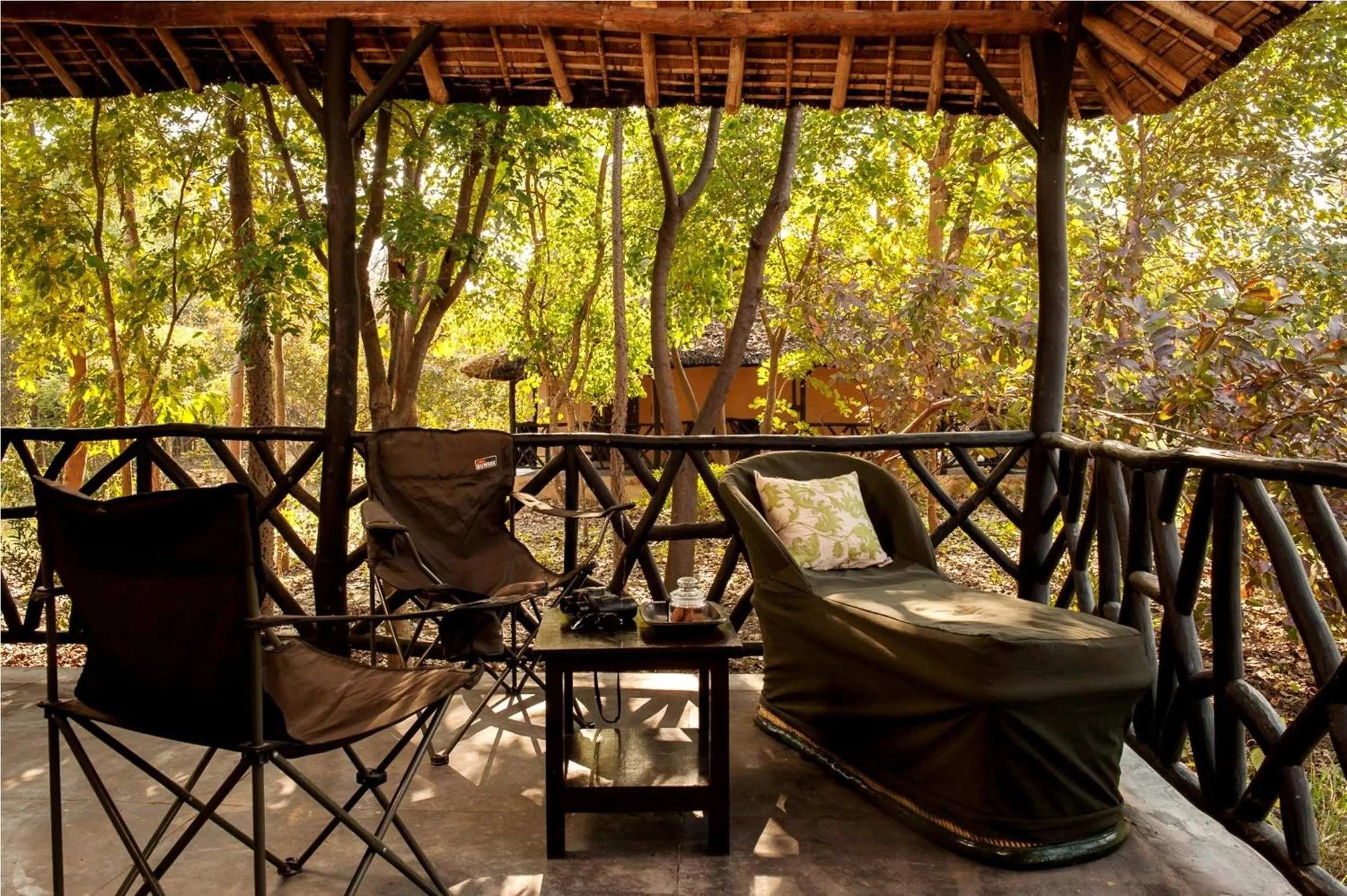 Day in Jim's Jungle Retreat