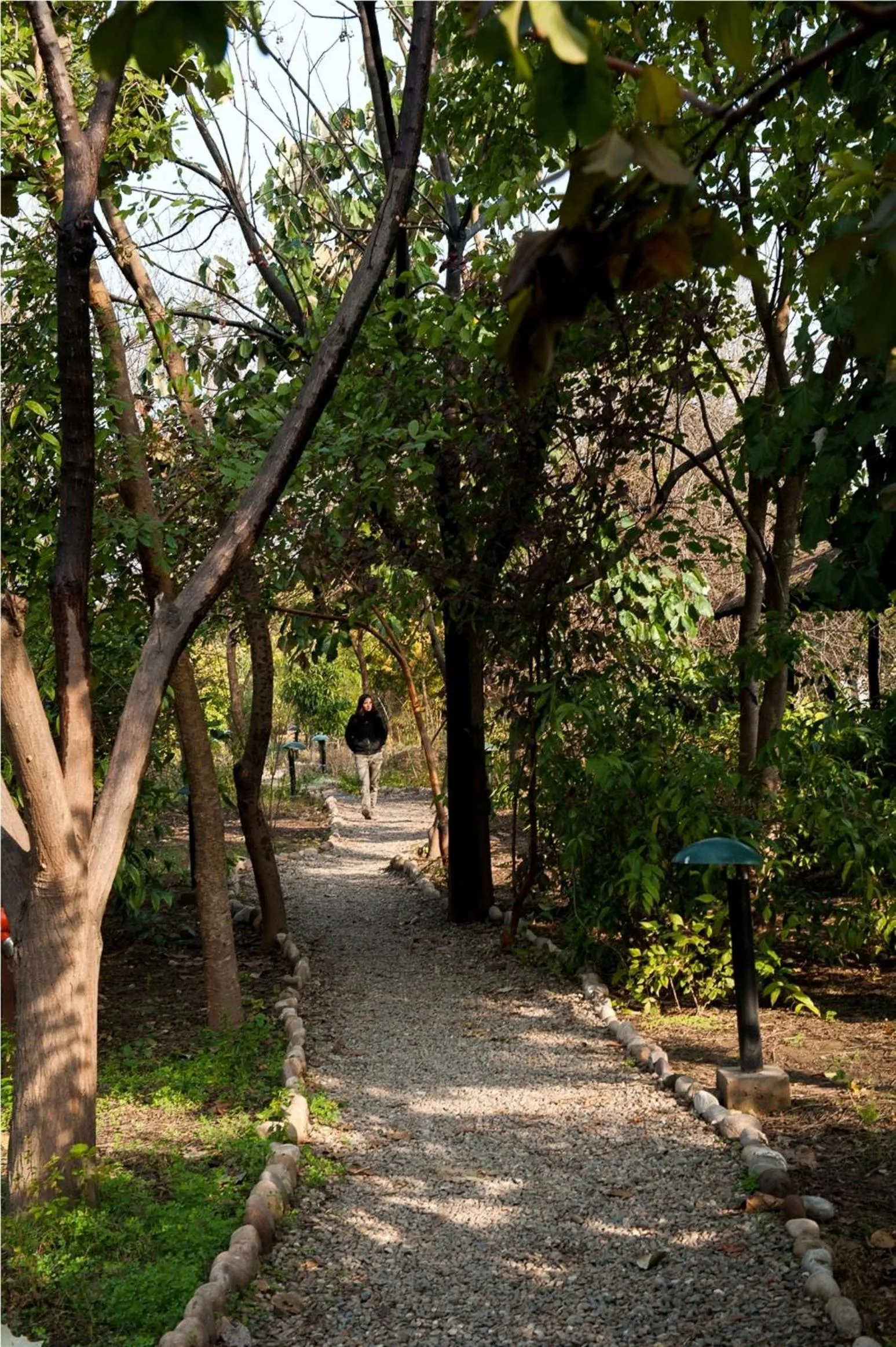 Day in Jim's Jungle Retreat