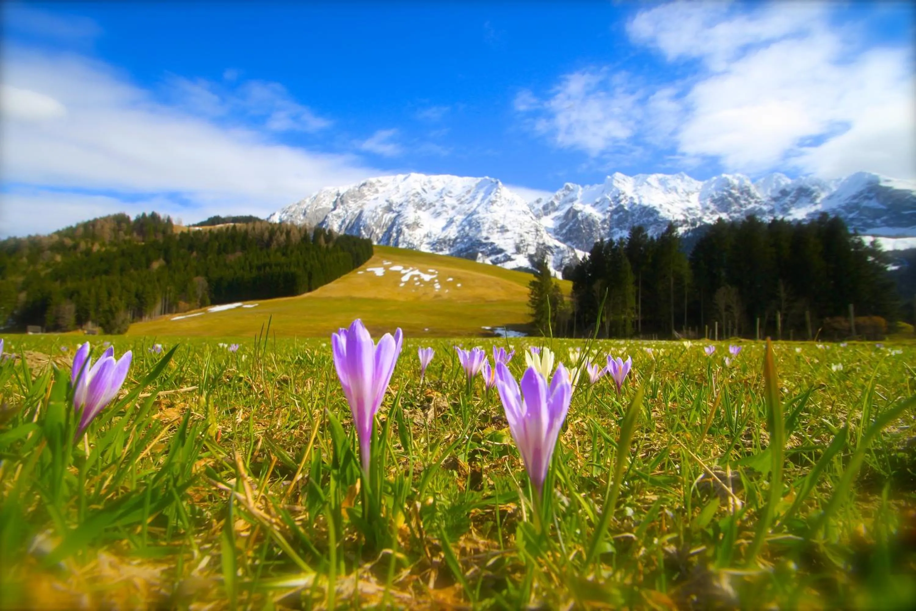 Hiking in Appartements-Restaurant Schwaiger