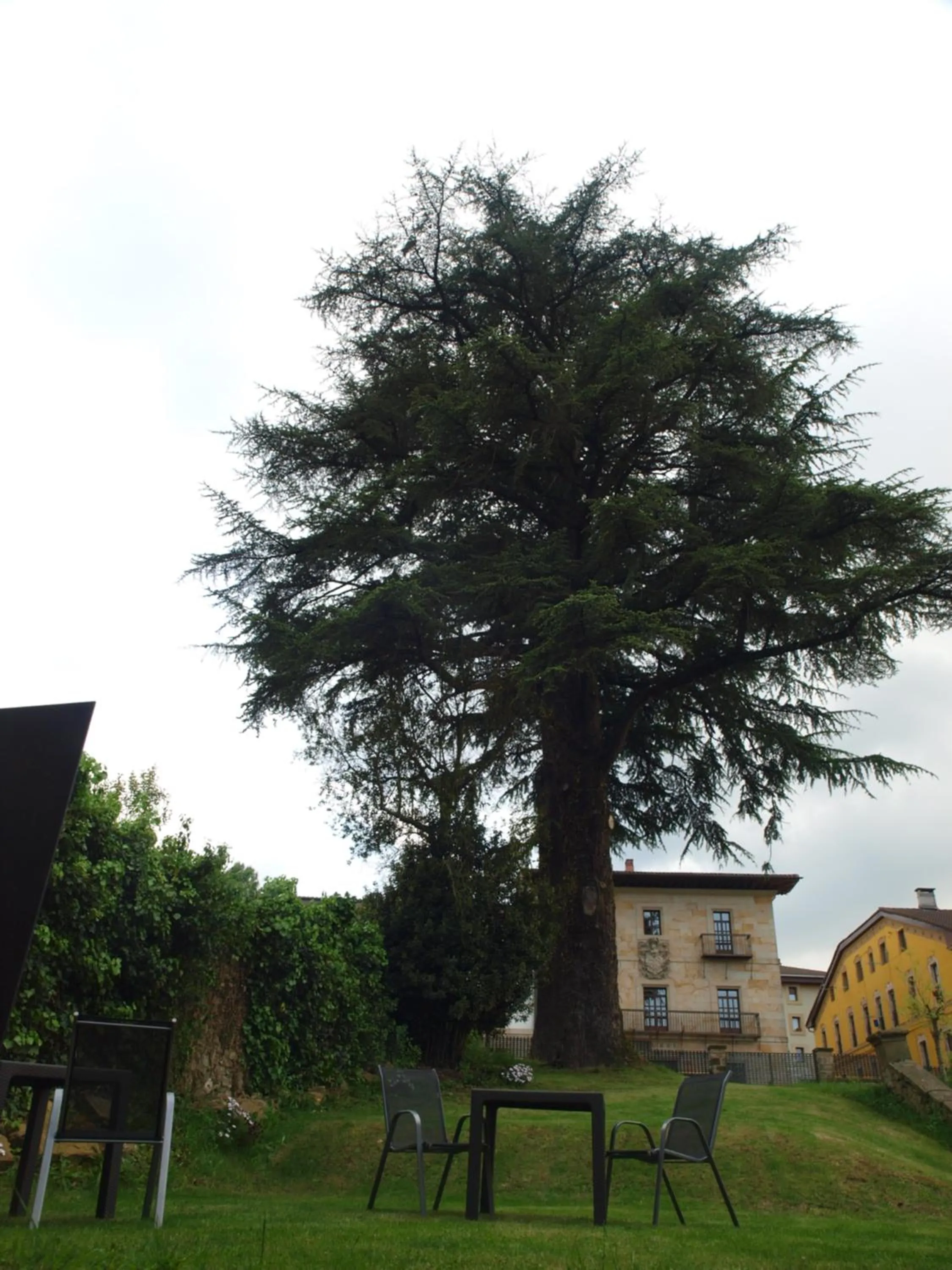 Garden in M&UGA Hotela