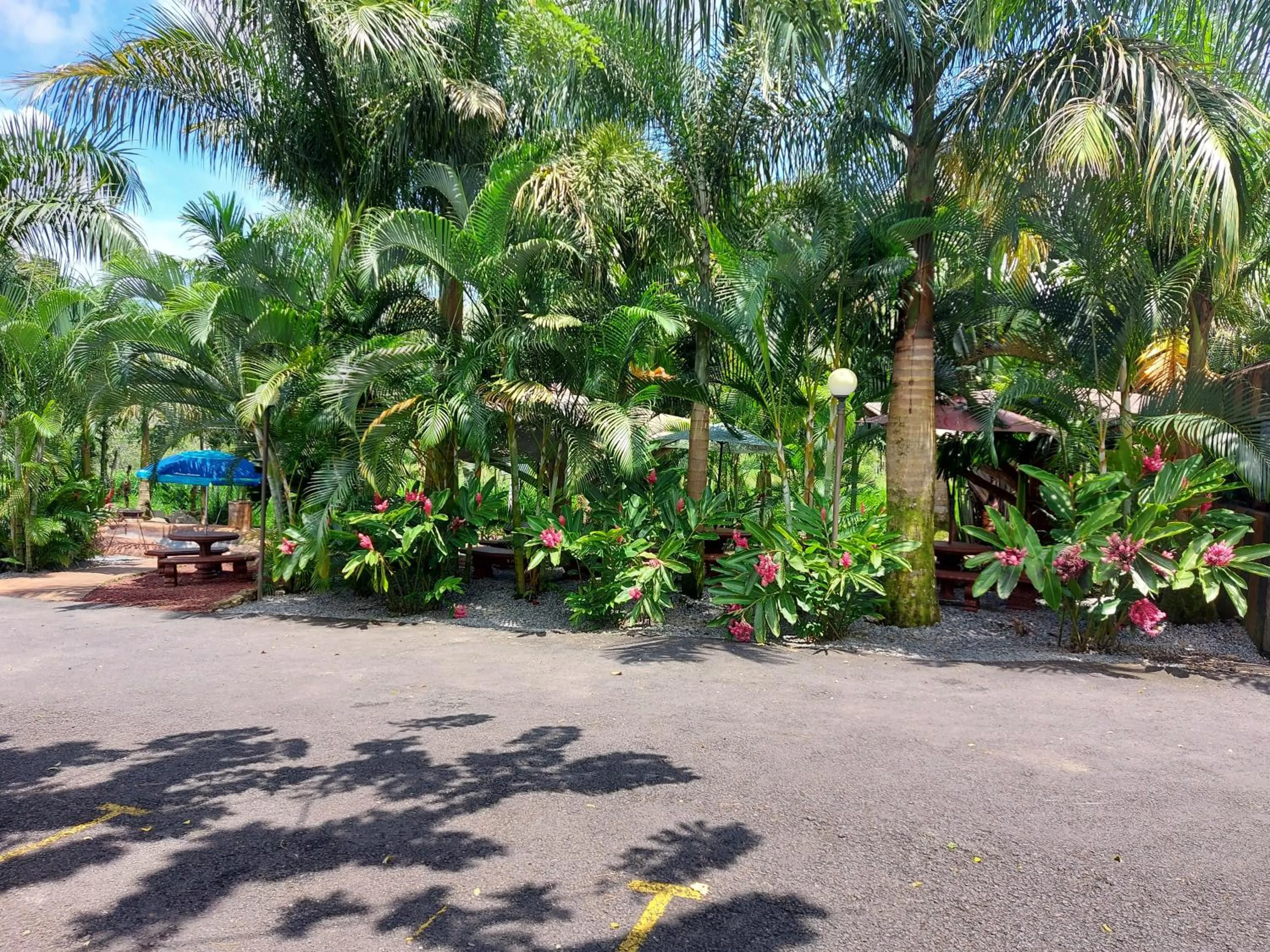 Hotel Palmera Real Hot Springs