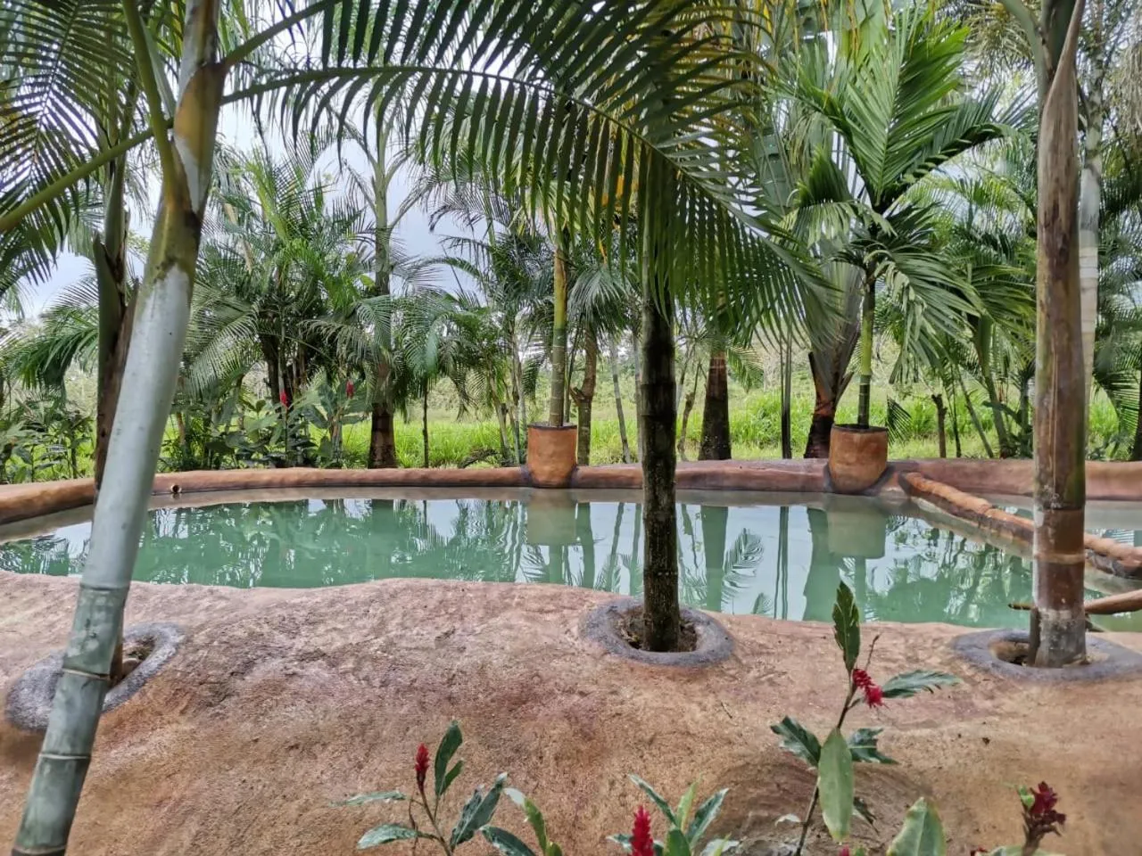 Hotel Palmera Real Hot Springs