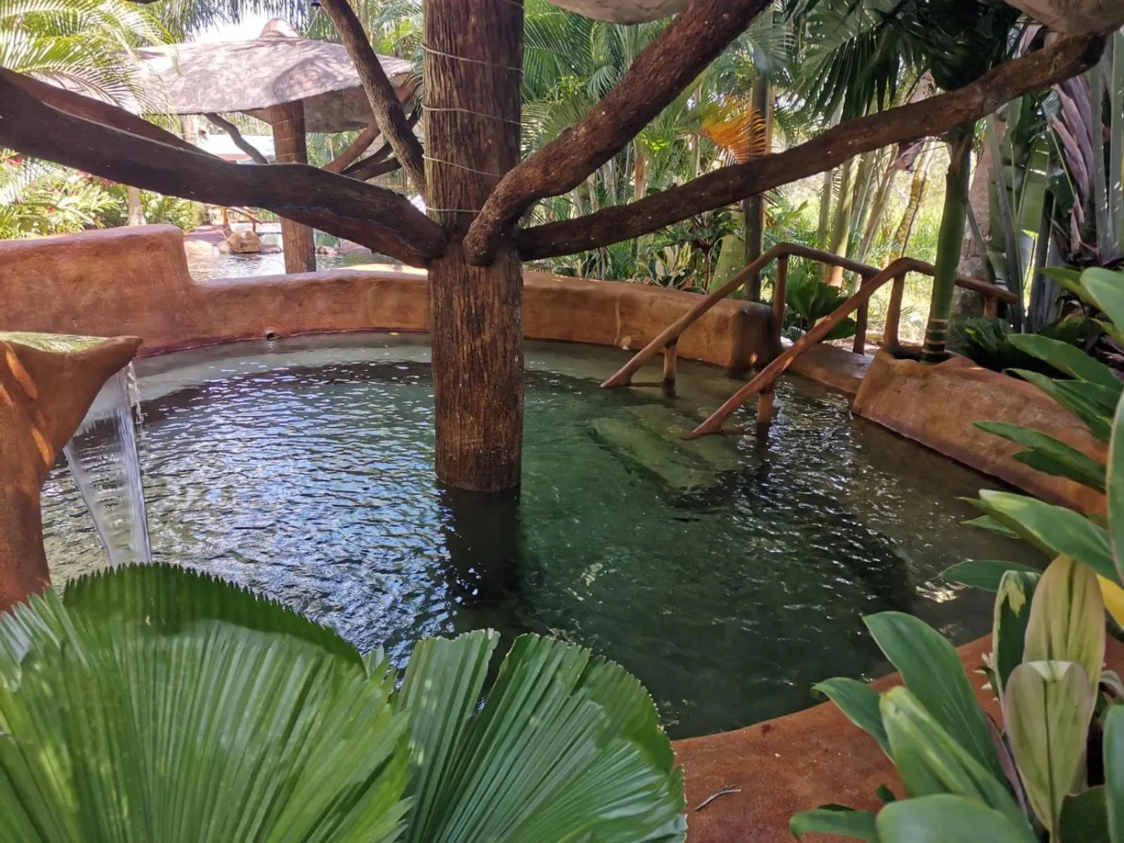 Hot Spring Bath in Hotel Palmera Real Hot Springs