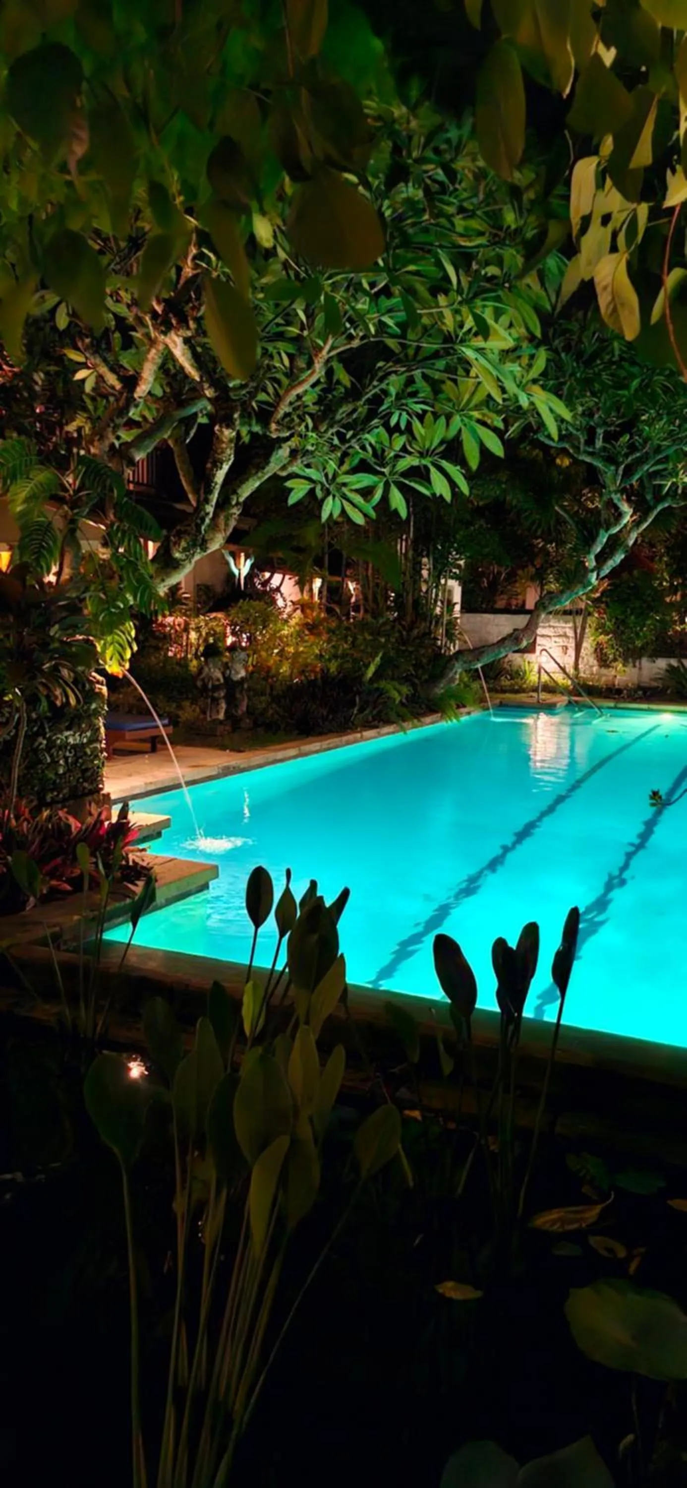 Swimming pool in Bebek Cottages Sanur