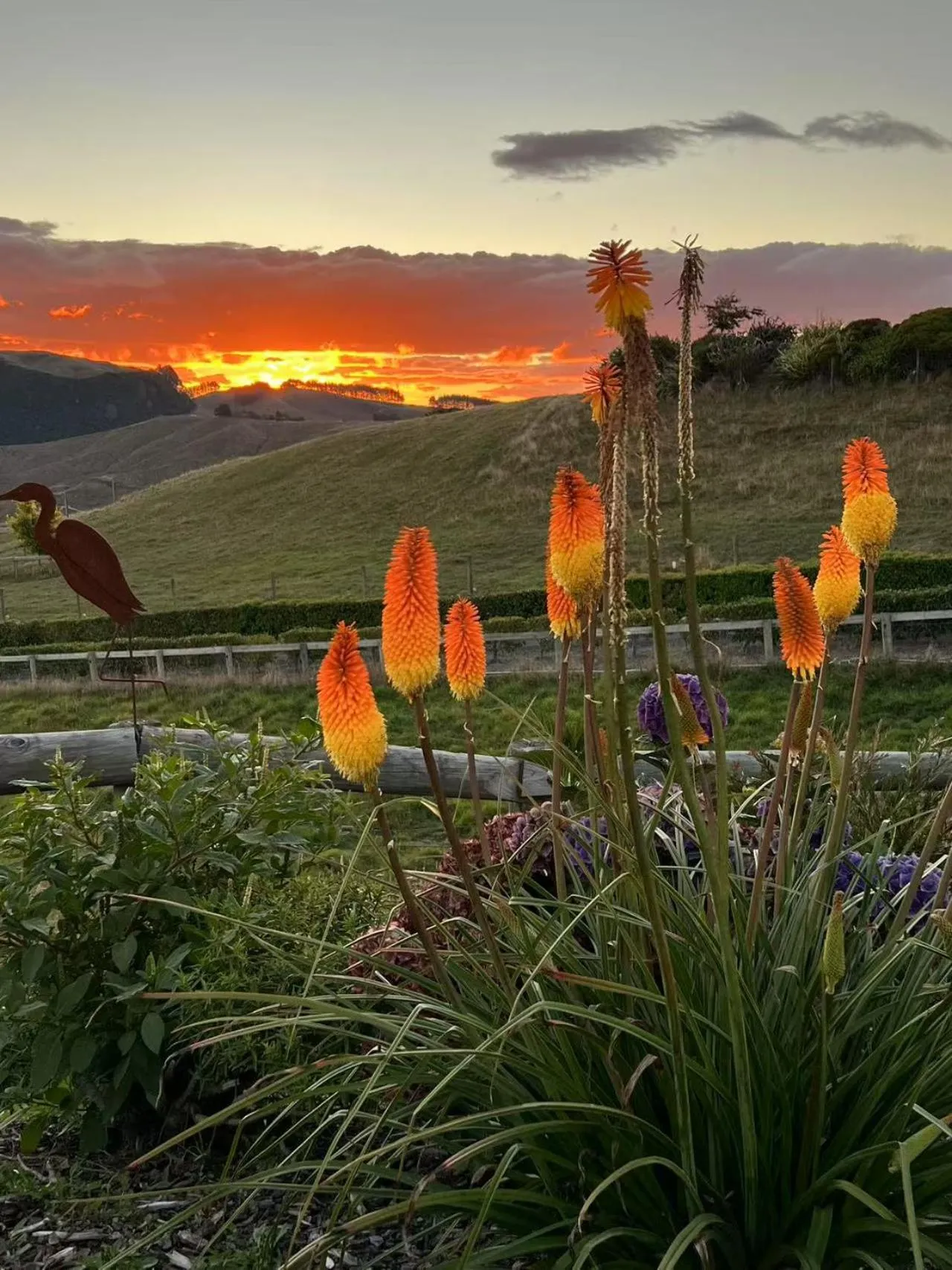 Sunset in Hilltop Whakaipo Estate